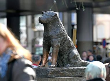 Hachiko Statue | Tourist Spot of Shibuya, Harajuku, & Omotesando