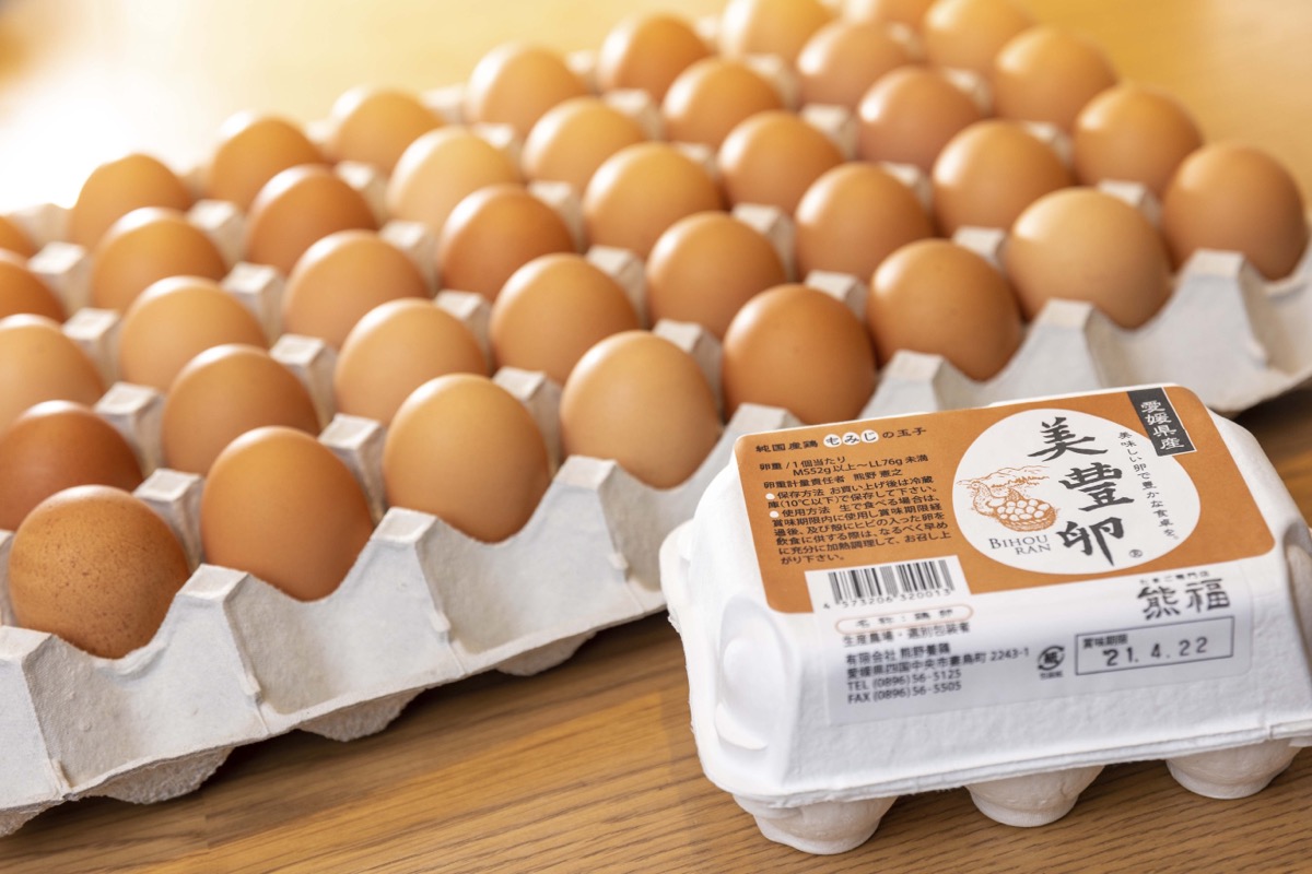 純国産鶏もみじの卵