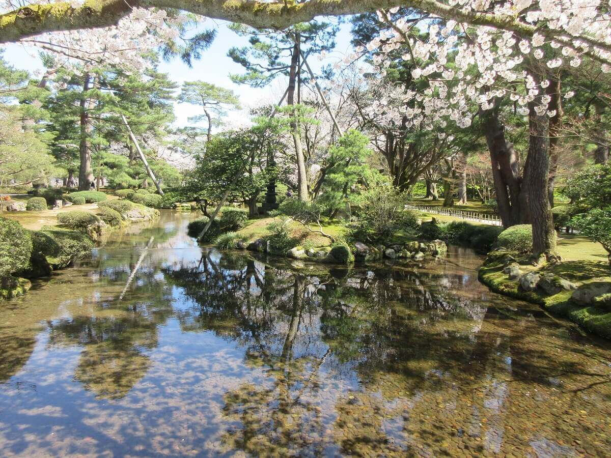 兼六園の桜と湖