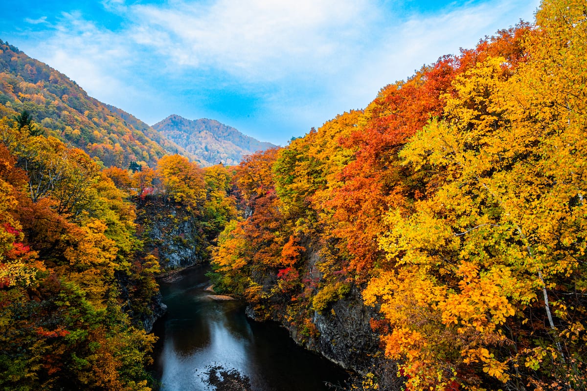 9月の北海道観光モデルコース｜黒岳の日本一早い紅葉を費用・アクセスつき行程で