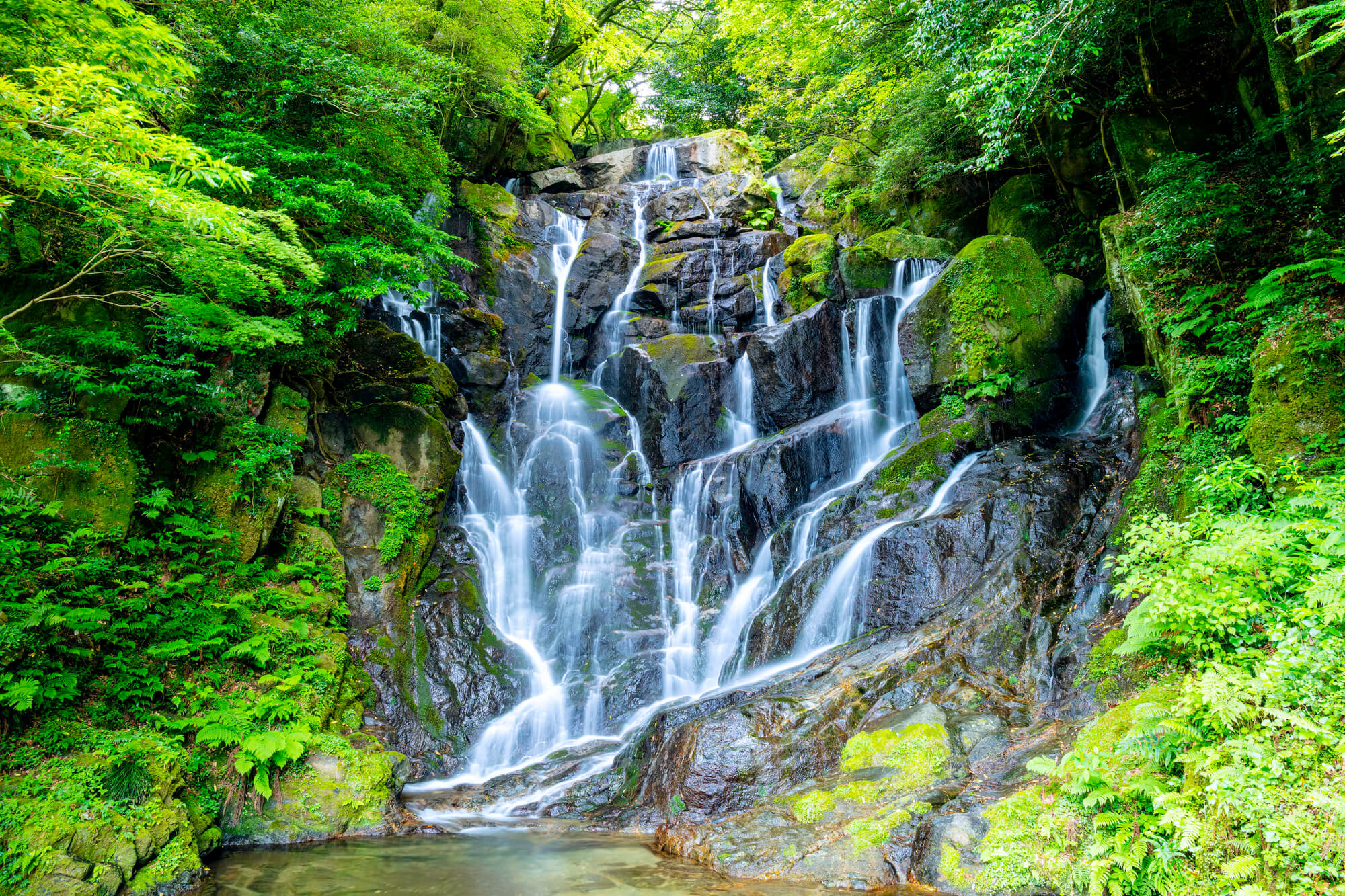 白糸の滝