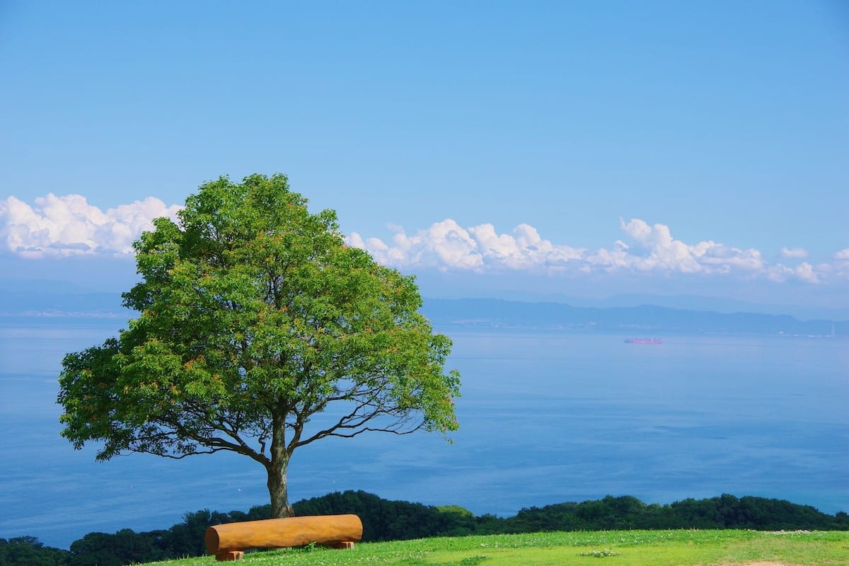 淡路島観光モデルコース【1泊2日】明石海峡公園・花さじき・うずしおクルーズを費用つき行程表で
