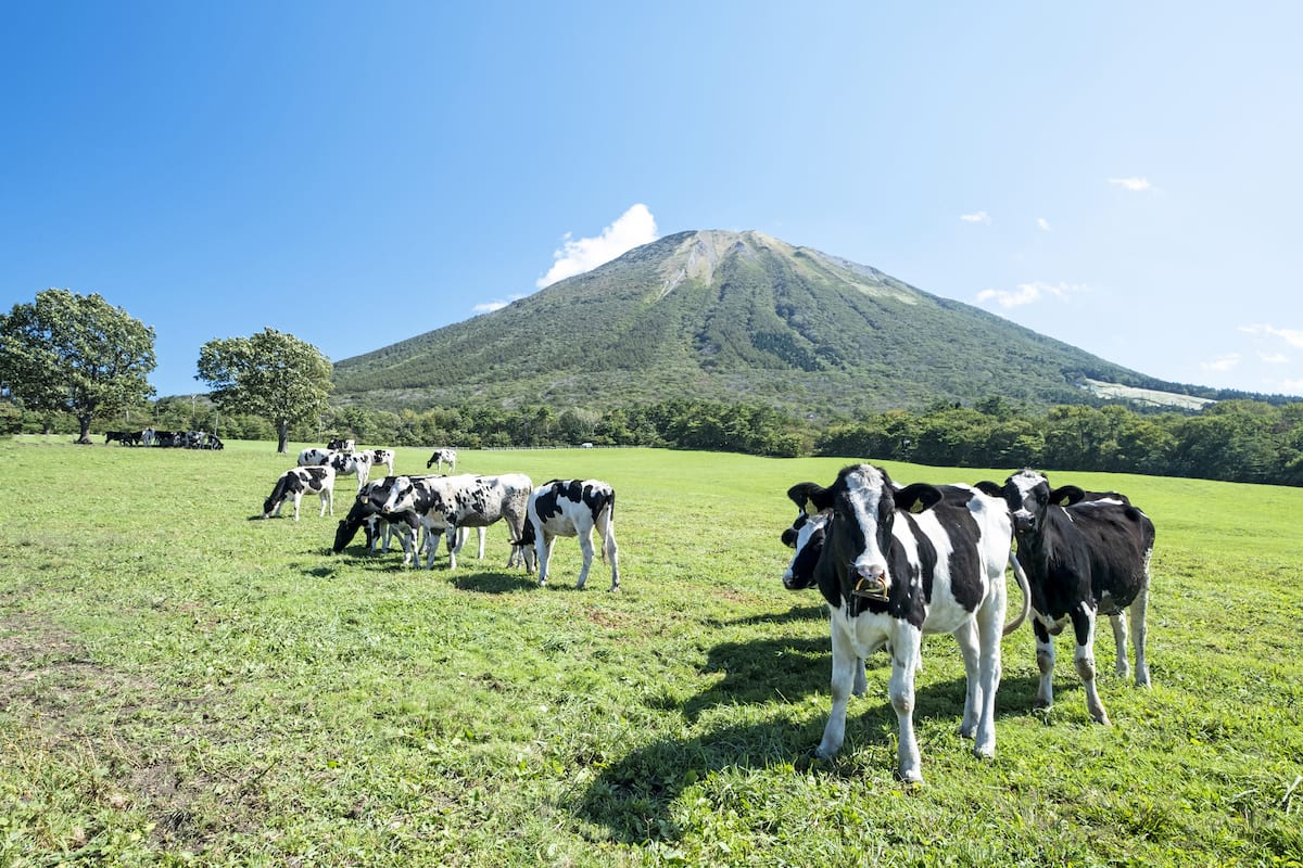 鳥取県の大山エリアを観光しよう！おすすめモデルコースのご紹介