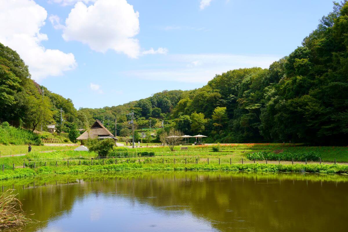 兵庫県の穴場観光スポット7選【日帰り】神戸・有馬/姫路・赤穂の料金・アクセス表つき