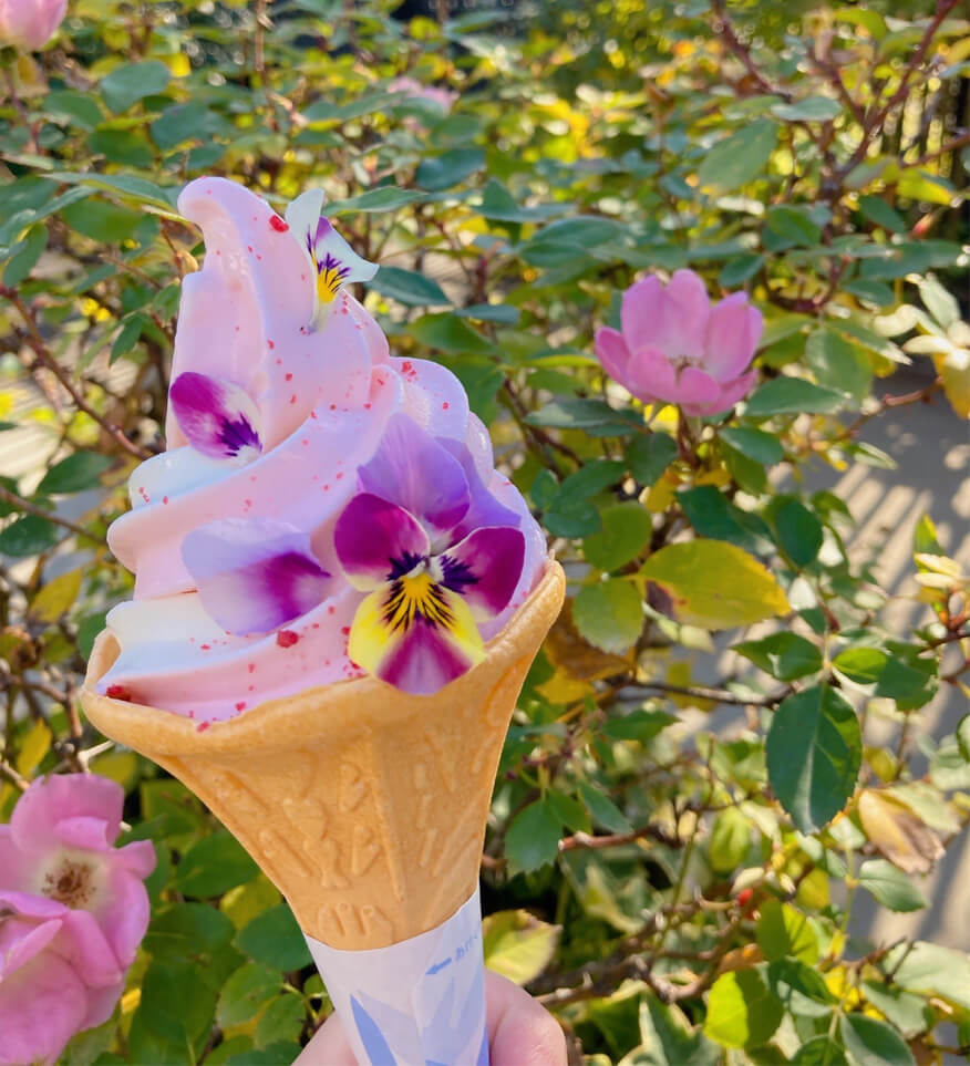 横浜イングリッシュガーデン「エディブルフラワートッピングのソフトクリーム」