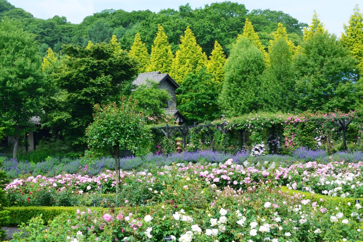 軽井沢レイクガーデンの景色画像