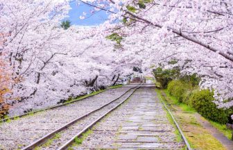 京都蹴上インクラインの風景画像