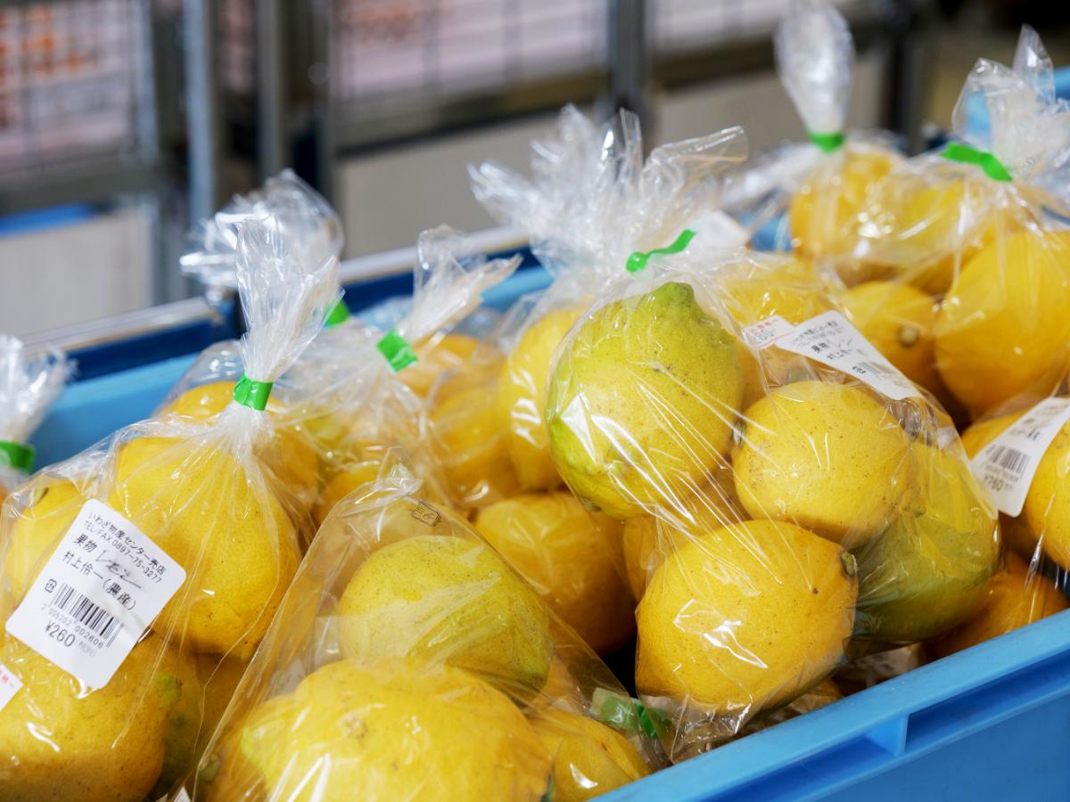 リモーネプラザで販売される岩城産レモン