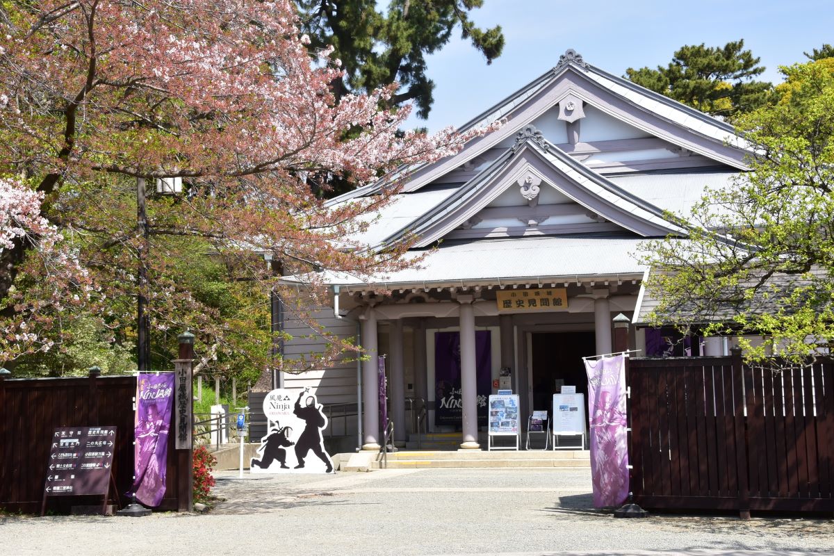 小田原城NINJA館の外観画像