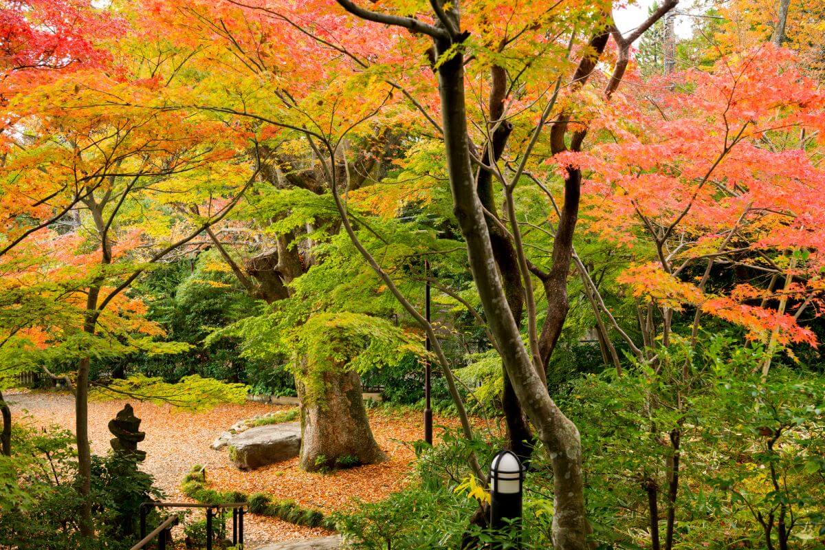 松永記念館の庭園画像