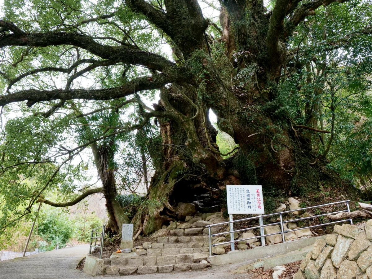 大山祇神社の奥の院と生樹の御門