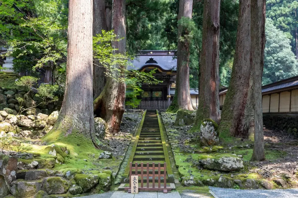【2024年12月最新】福井市・永平寺 食べ歩きの魅力を徹底解説！絶品グルメとおすすめスポットを紹介