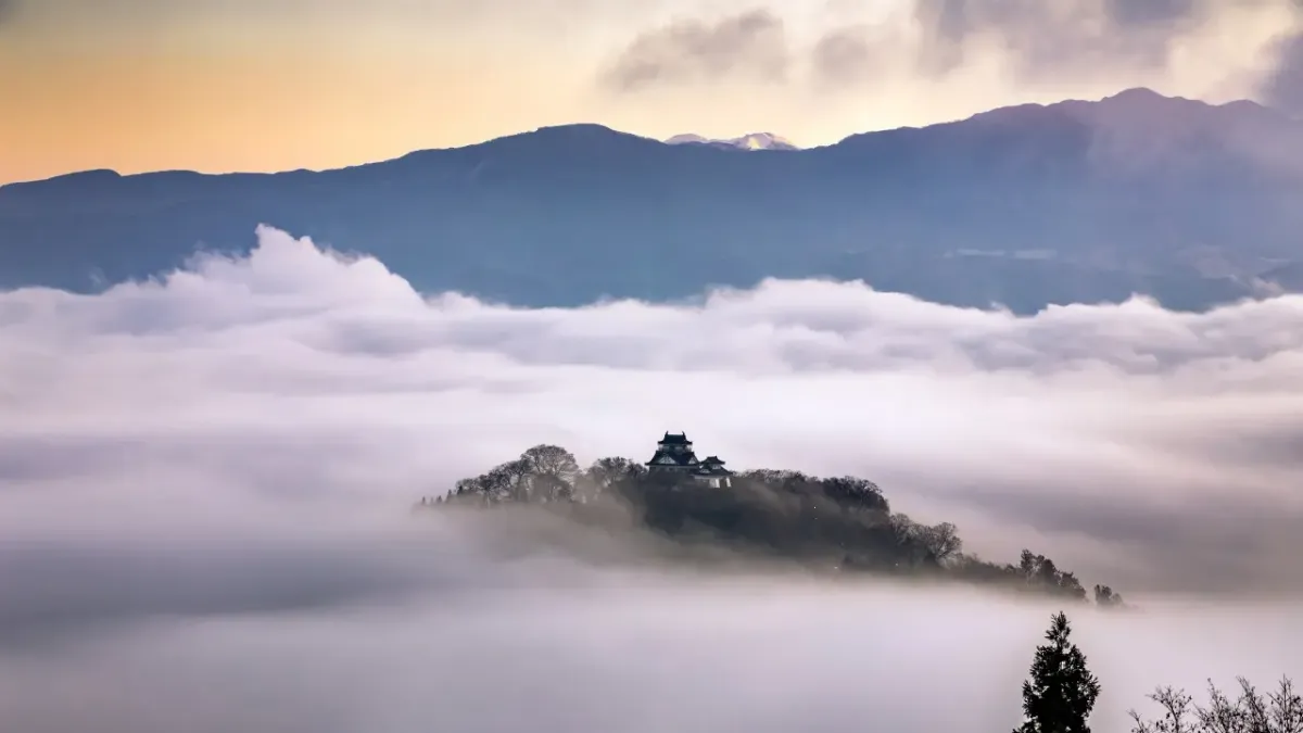 【2024年12月最新】勝山・大野 食べ歩きの魅力が満載！地元のおすすめグルメを徹底紹介