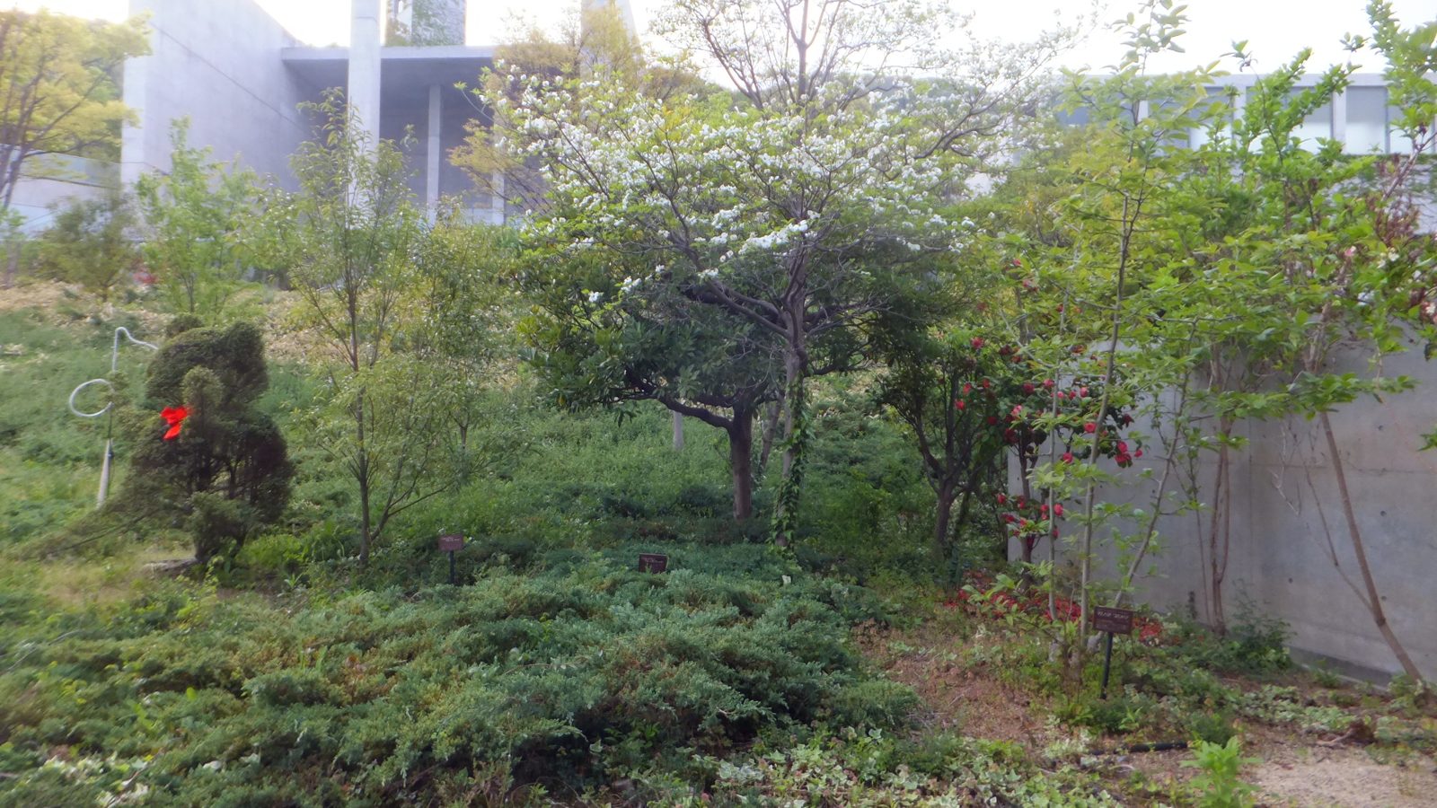 国営明石海峡公園の花木が植えられた園内風景