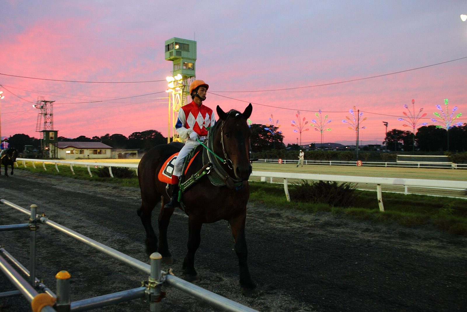 ばんえい十勝(帯広競馬場)でそりを引く重種馬と騎手