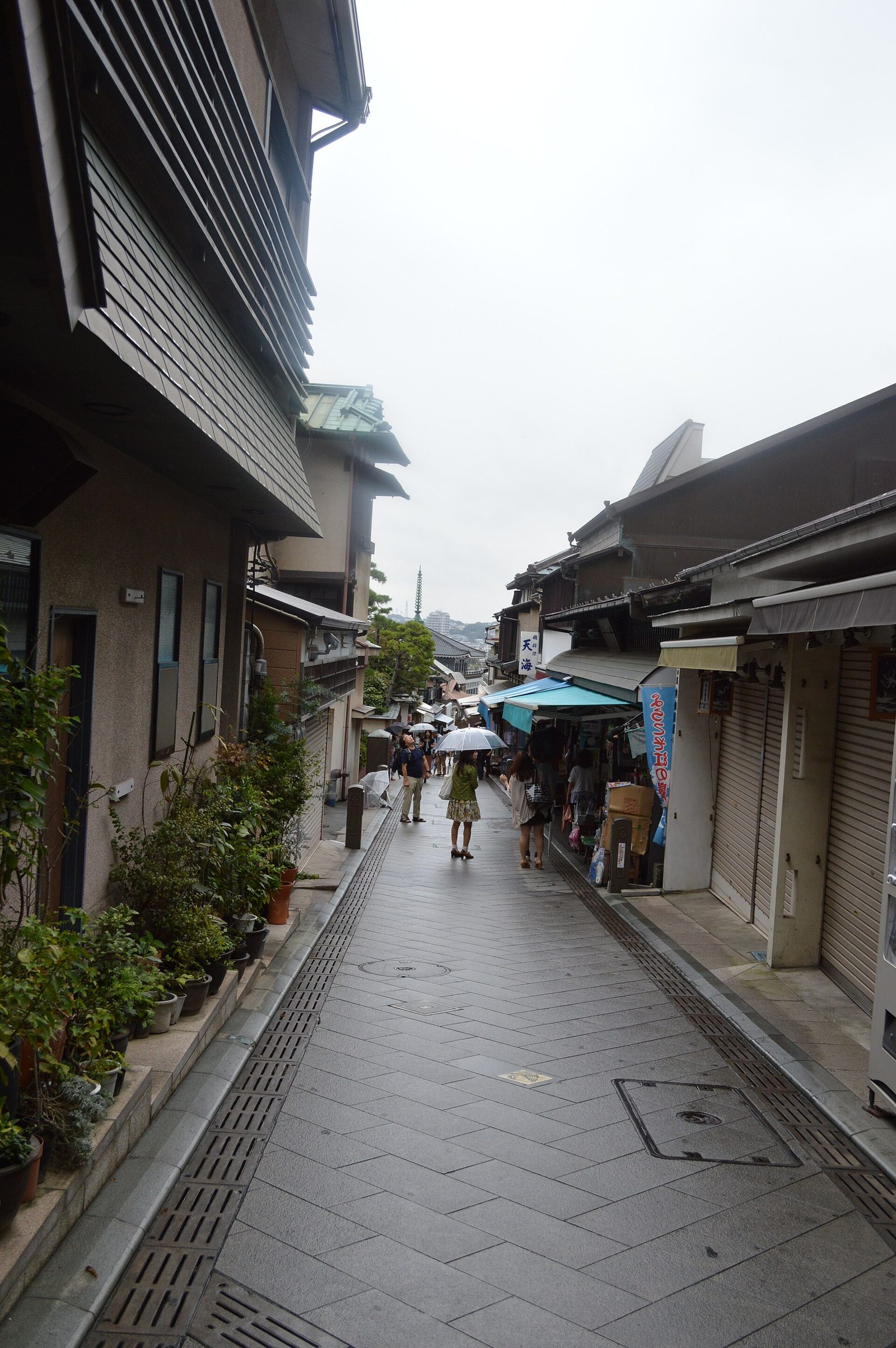 江の島お土産5選｜中村屋元祖海苔羊羹と江ノ電もなかを日持ちつきで