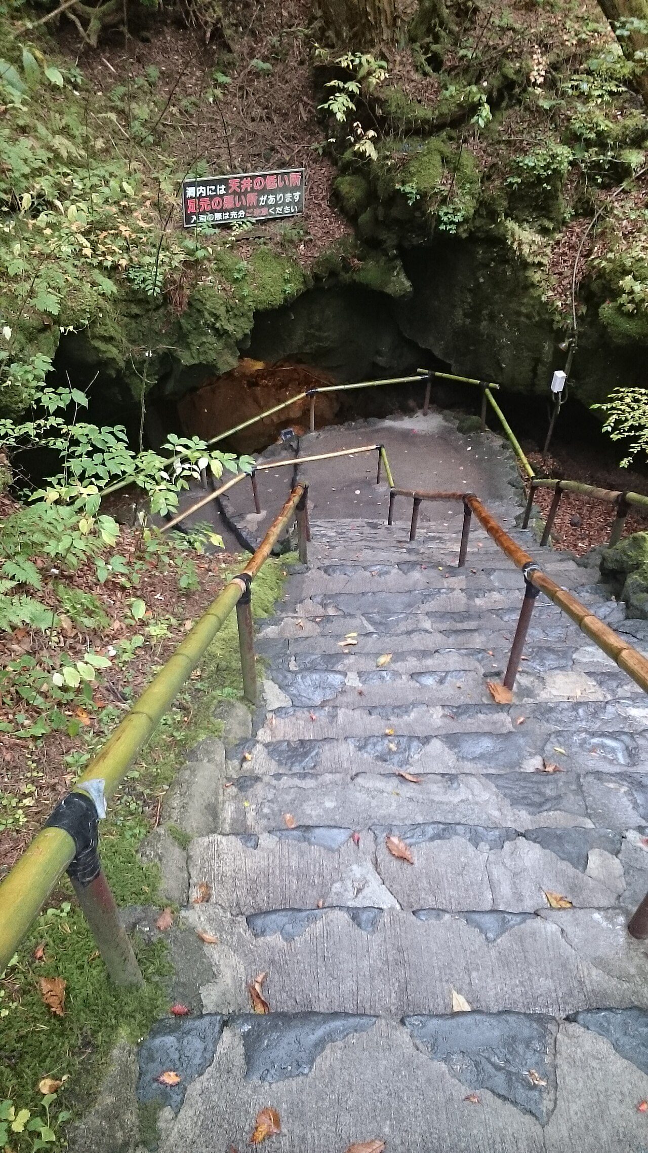 富岳風穴の洞窟入口へ続く石段