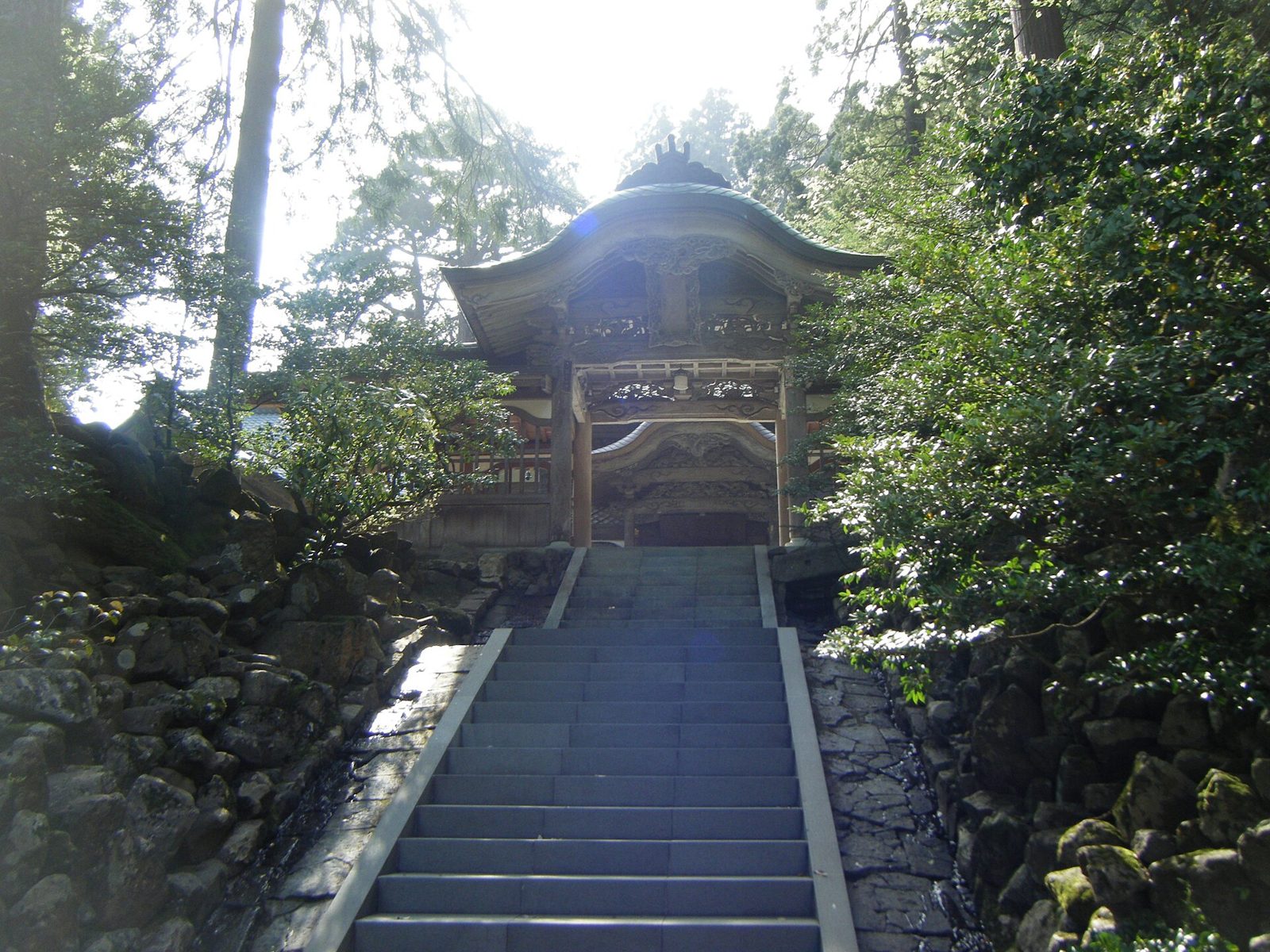 初めての福井観光は恐竜博物館→永平寺の王道1日｜要予約・拝観700円・門限16時を先回りする費用つき行程