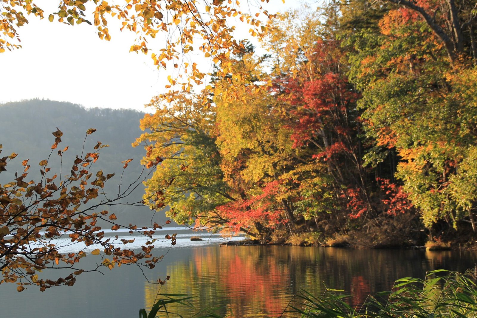 富良野観光モデルコース【10月・1日】紅葉の麓郷は16時閉館・平年最高14.9℃の服装・費用つき行程表