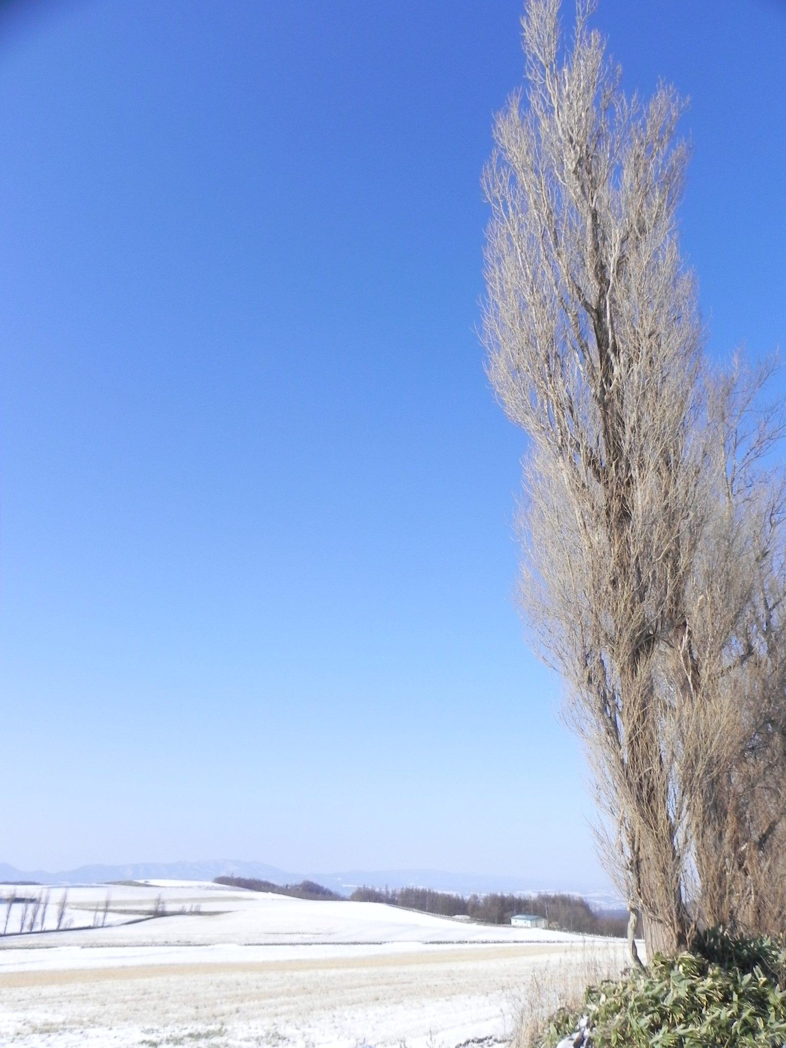 11月の富良野は何がある?ニングルテラスは11/4〜29休業・スキー場は11/29開業・初雪は平年11月4日