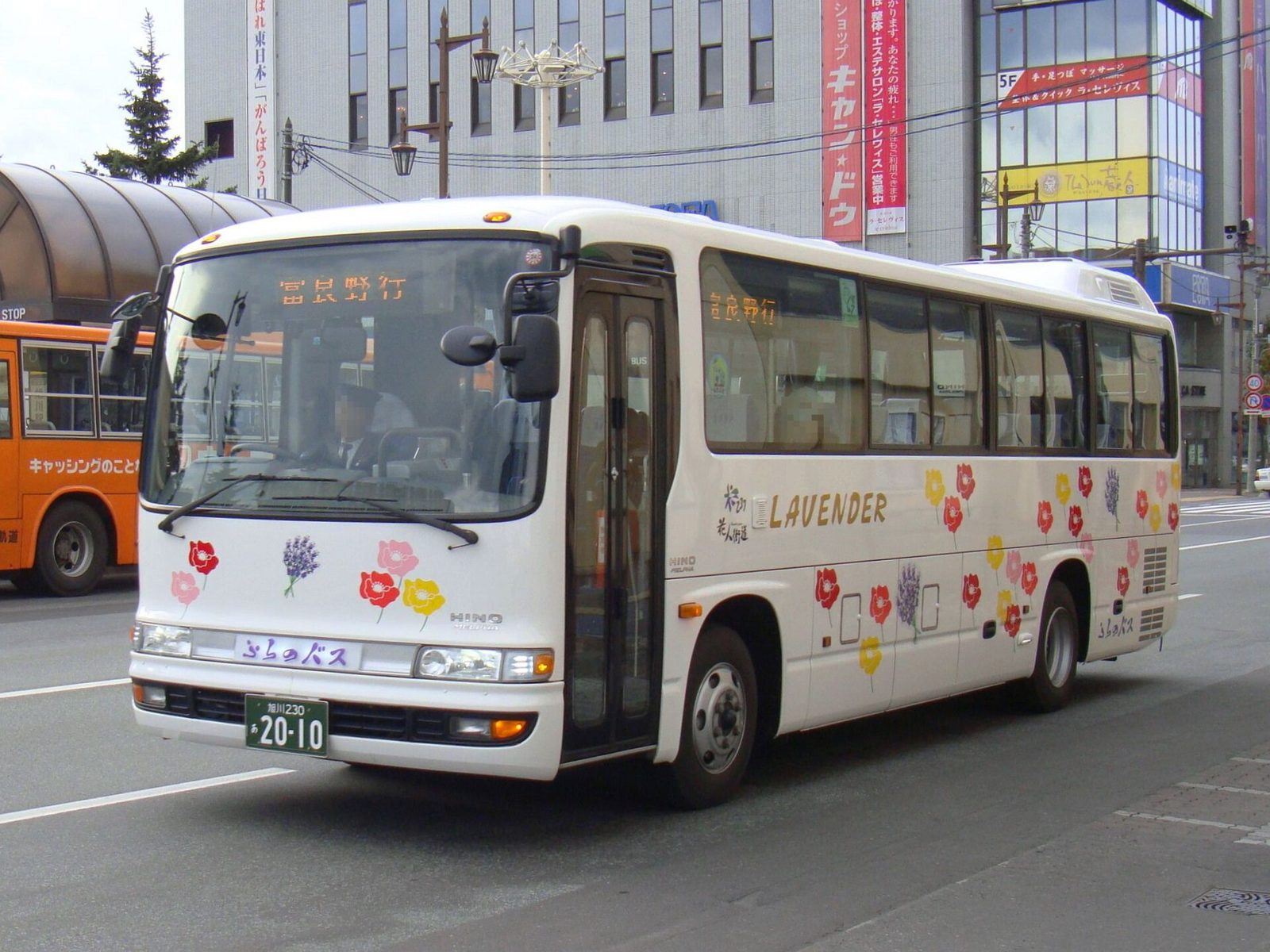 富良野旅行の費用はいくら？1泊2日・2泊3日の内訳｜ラベンダー号790円・高速ふらの号2,700円で組む予算表