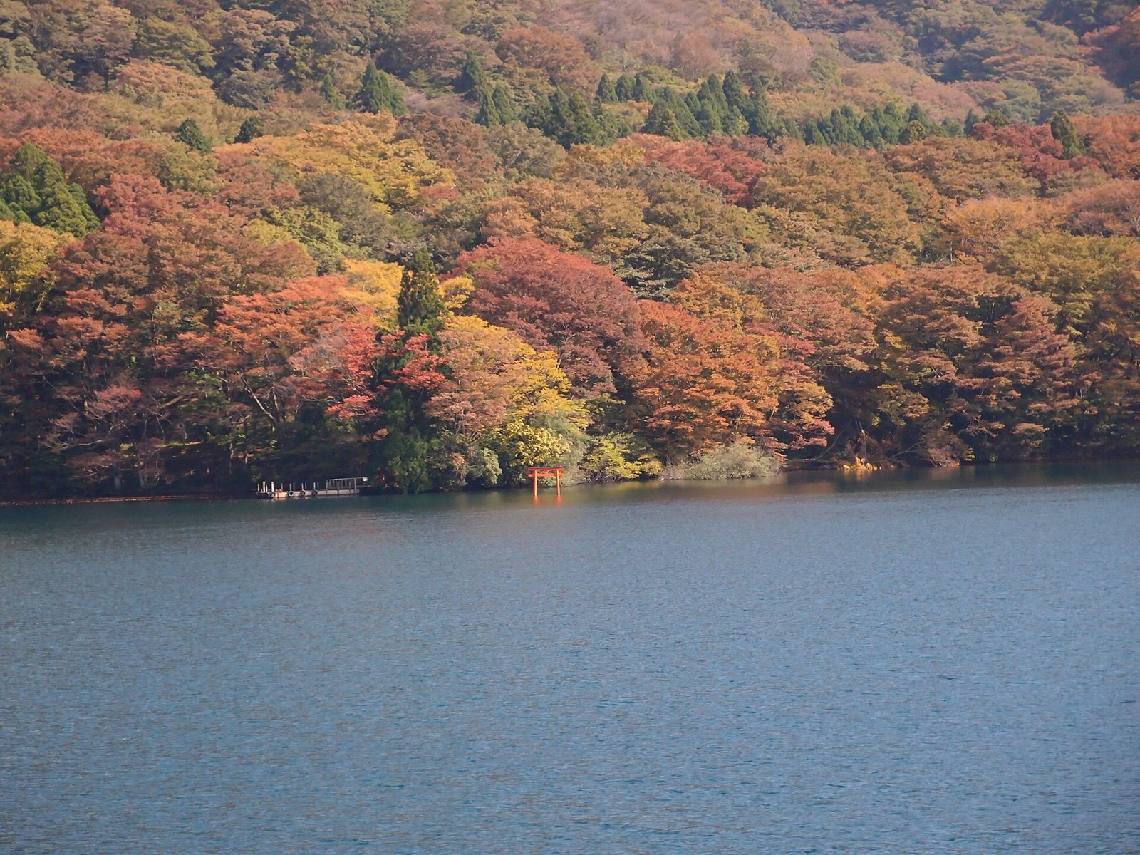 箱根観光モデルコース【11月・1日】紅葉最盛の箱根美術館(11月上旬)から大涌谷・芦ノ湖まで費用つき行程表