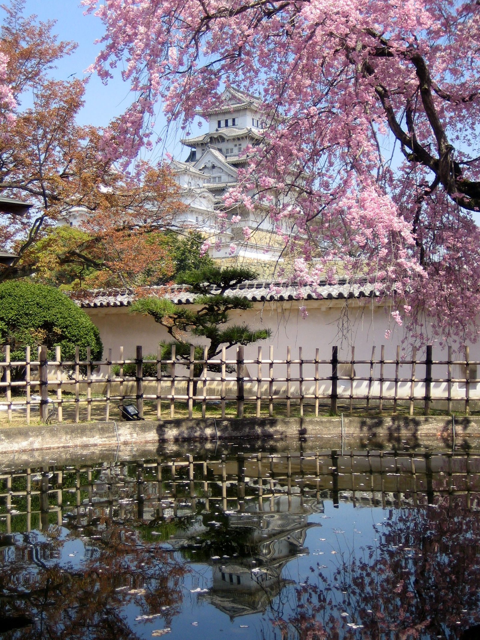 姫路観光モデルコース【4月・1日】桜満開4/3・葉桜4/14・改定後の入城料2,500円つき行程表
