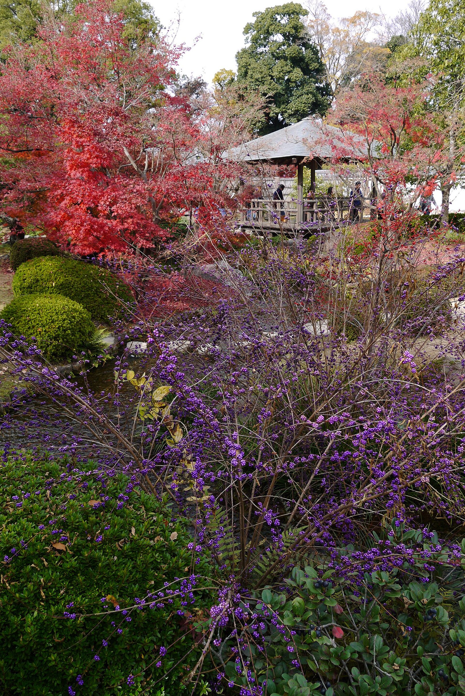 姫路観光モデルコース【11月・1日】書写山圓教寺の紅葉と好古園ライトアップ・費用つき行程表