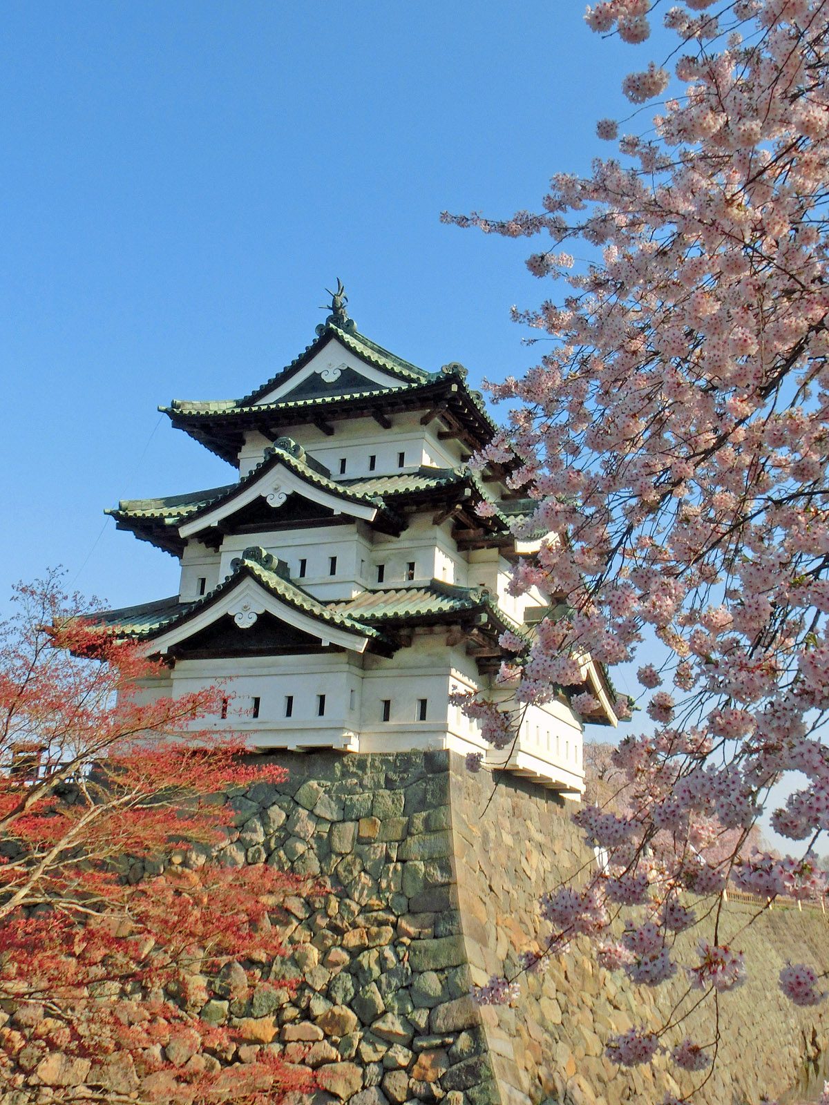 弘前デートは弘前公園まわりで完結｜藤田記念庭園520円共通券・茶屋松風亭の貸切5,200円・れんが倉庫美術館の最終入場つき