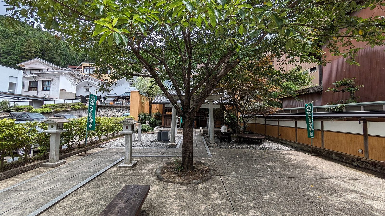 桜の木と鳥居がある加恵瑠神社の境内
