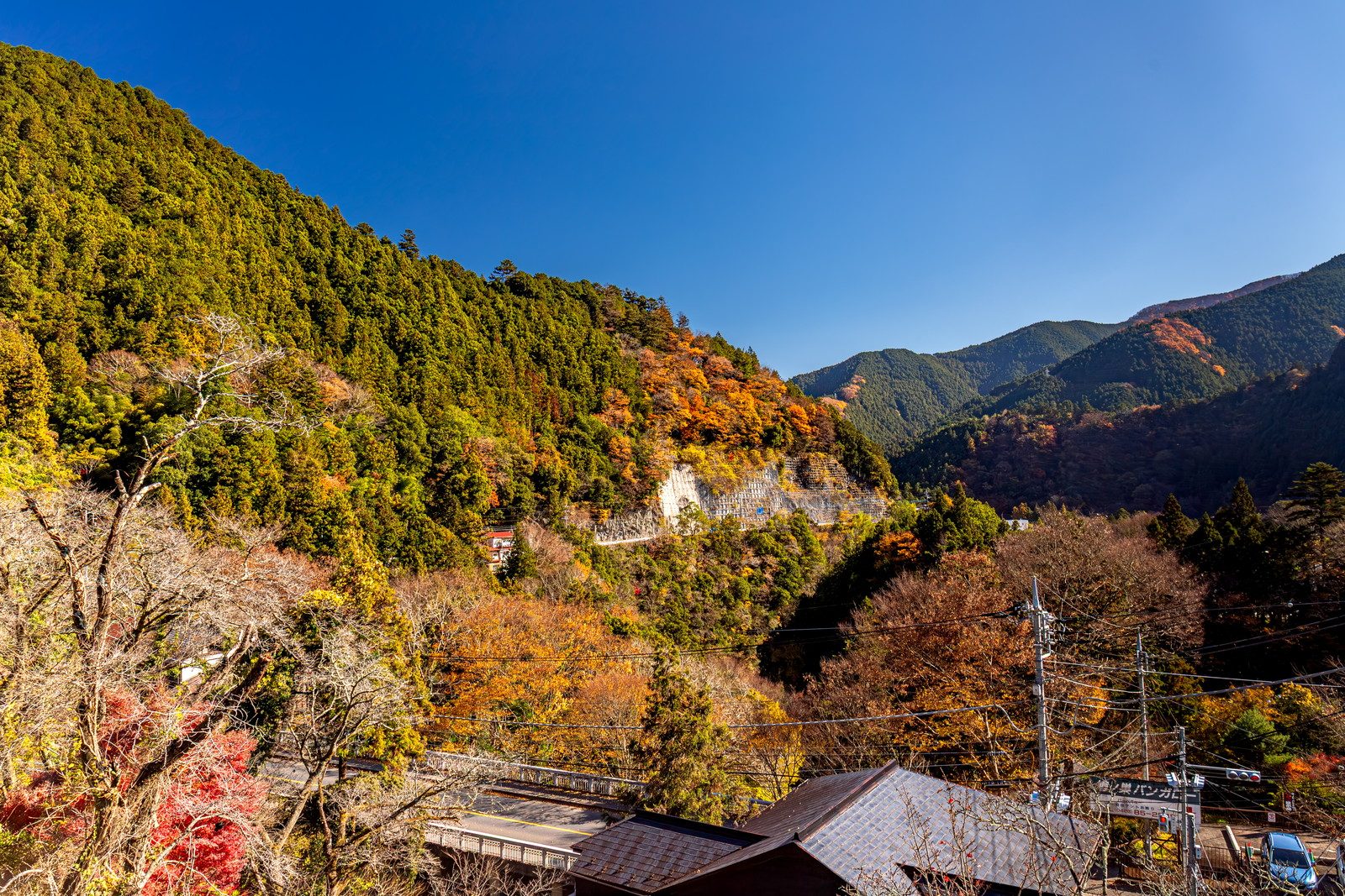 鳩ノ巣渓谷とその周辺の紅葉