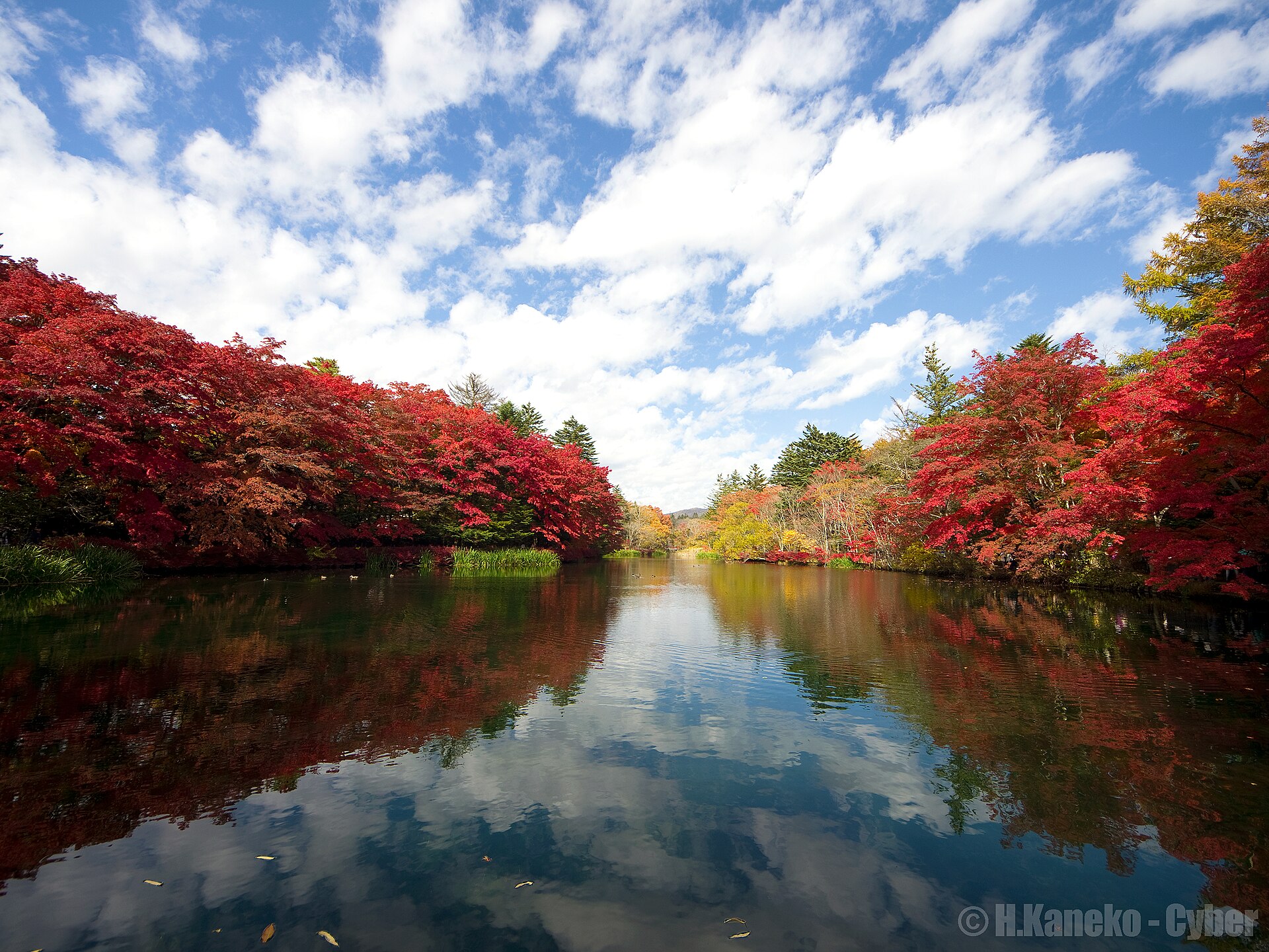 軽井沢観光モデルコース【10月・1日】雲場池と白糸の滝の紅葉・費用つき行程表