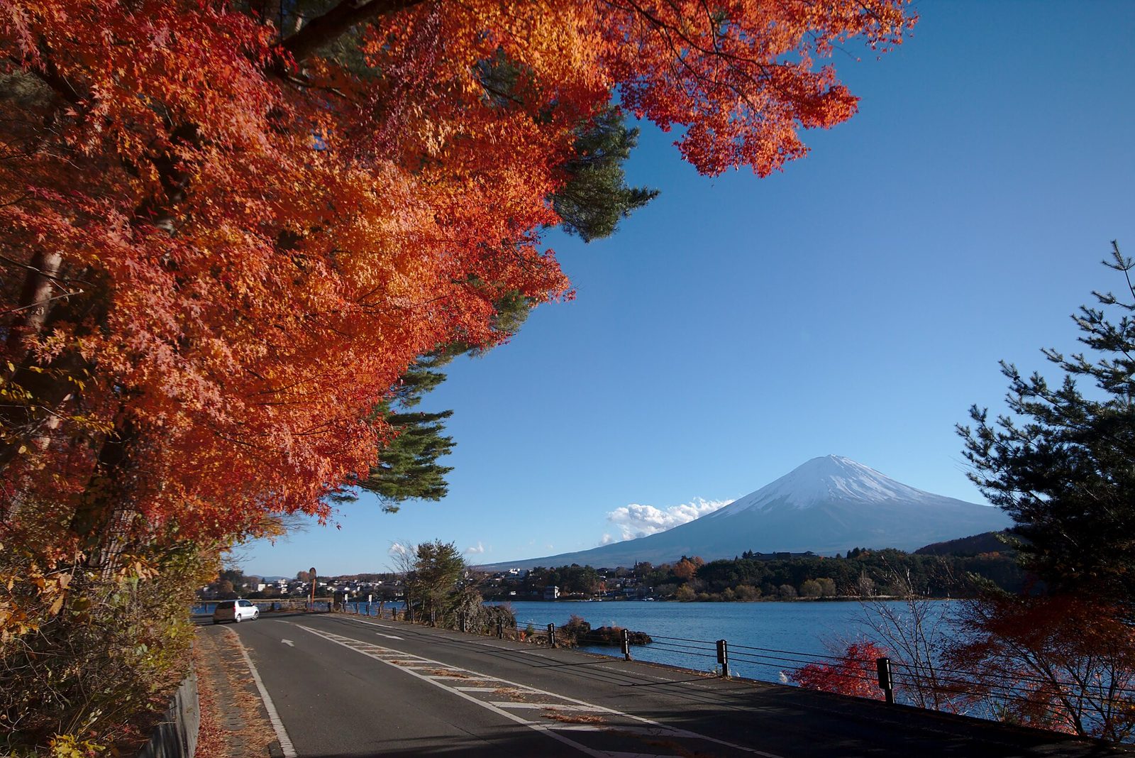 河口湖観光モデルコース【11月・1日】もみじ回廊の紅葉まつり(11/1〜30)とアンソレイユ号・費用つき行程表