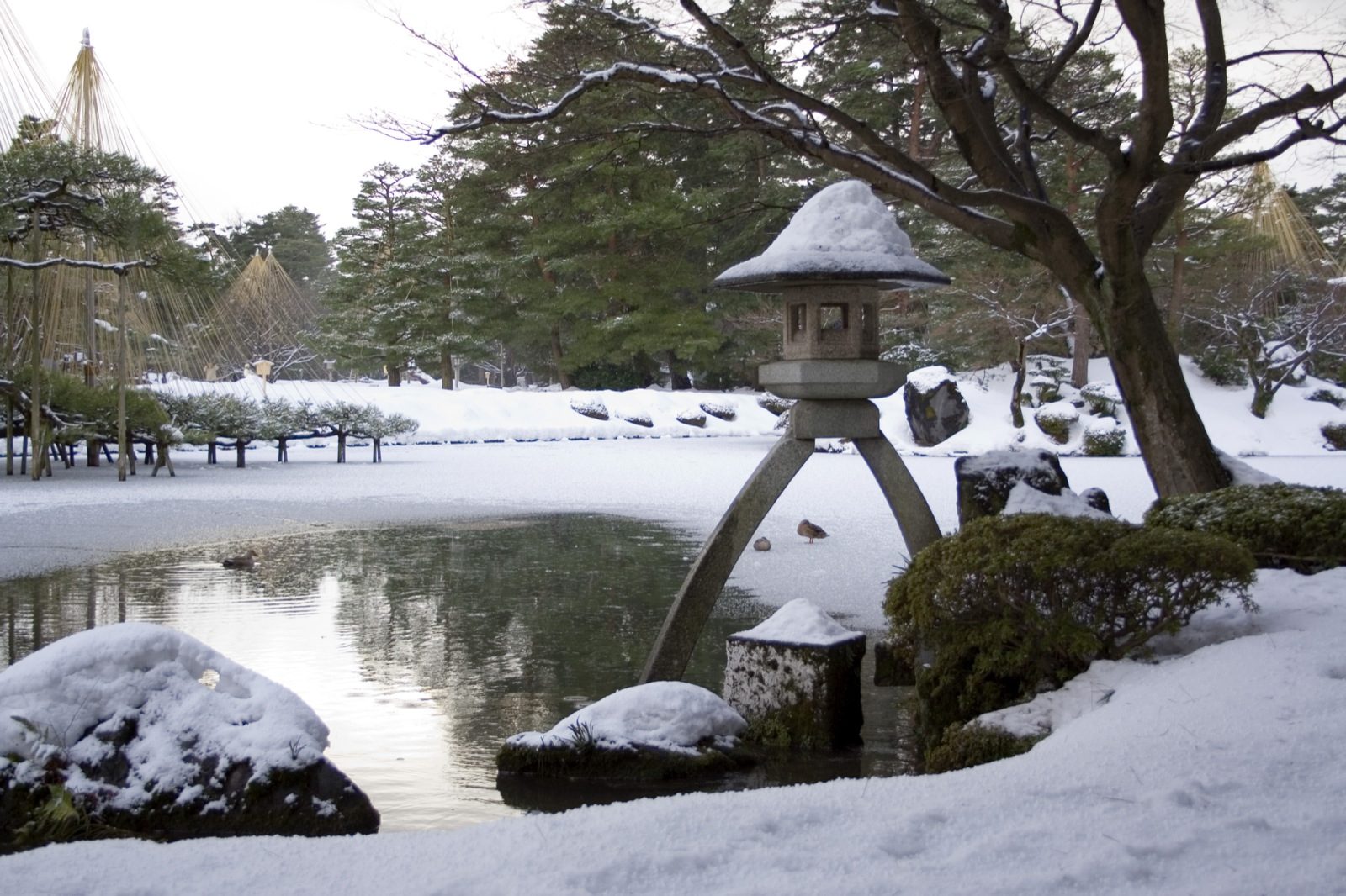 金沢観光モデルコース【2月・1日】雪吊りの兼六園と冬の段ライトアップ・費用つき行程表