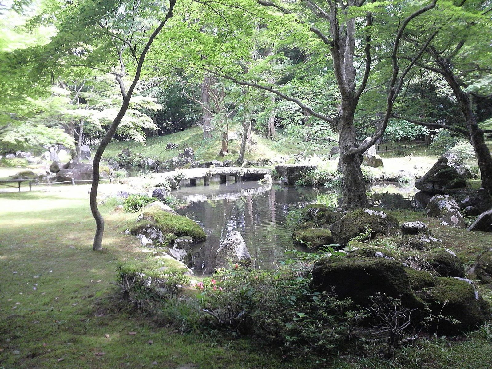 北畠氏館跡庭園の池泉と紅葉