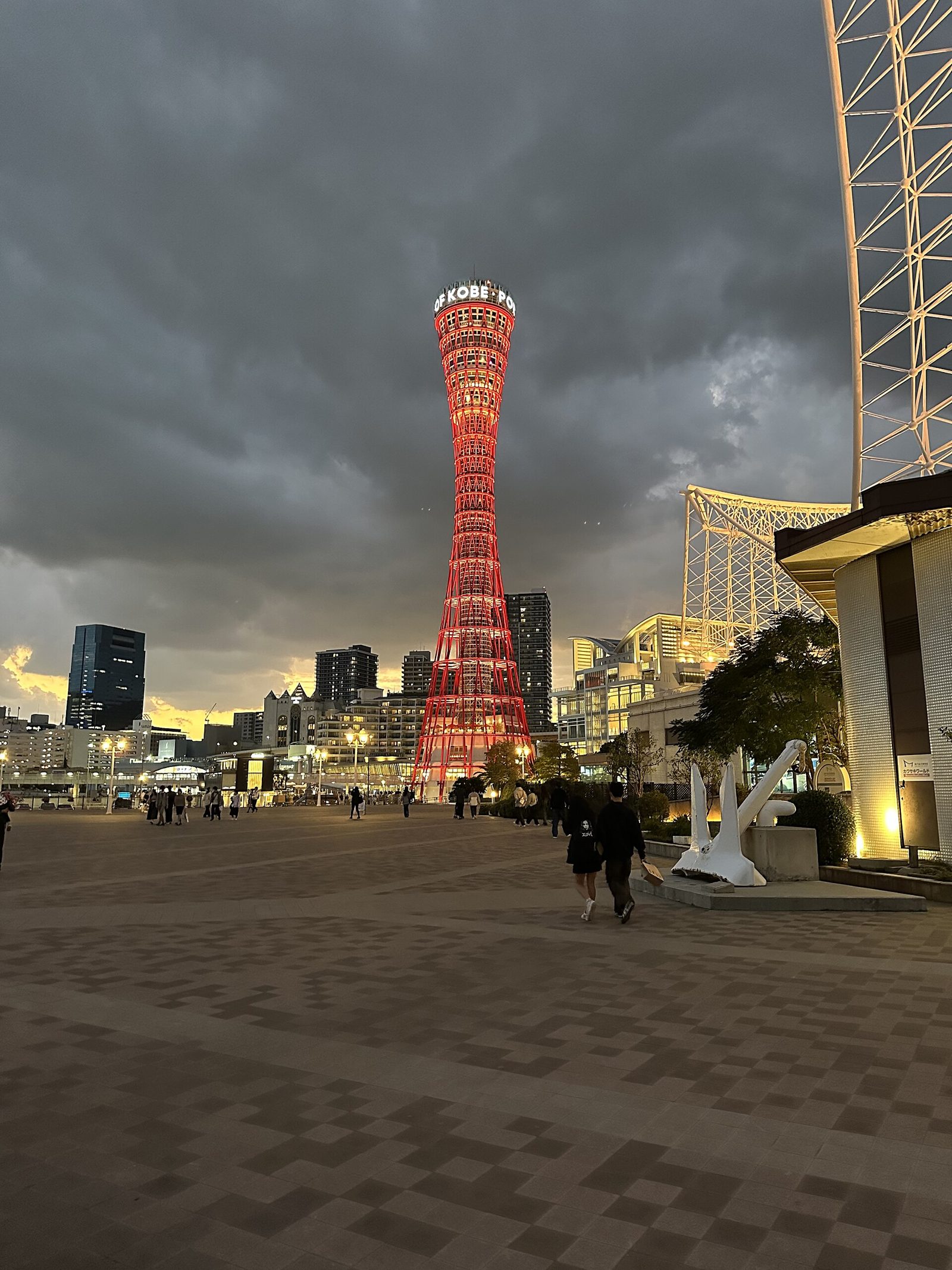 神戸デート夜景ガイド｜まやビューライン最終便20:50・ポートタワーは日時指定制