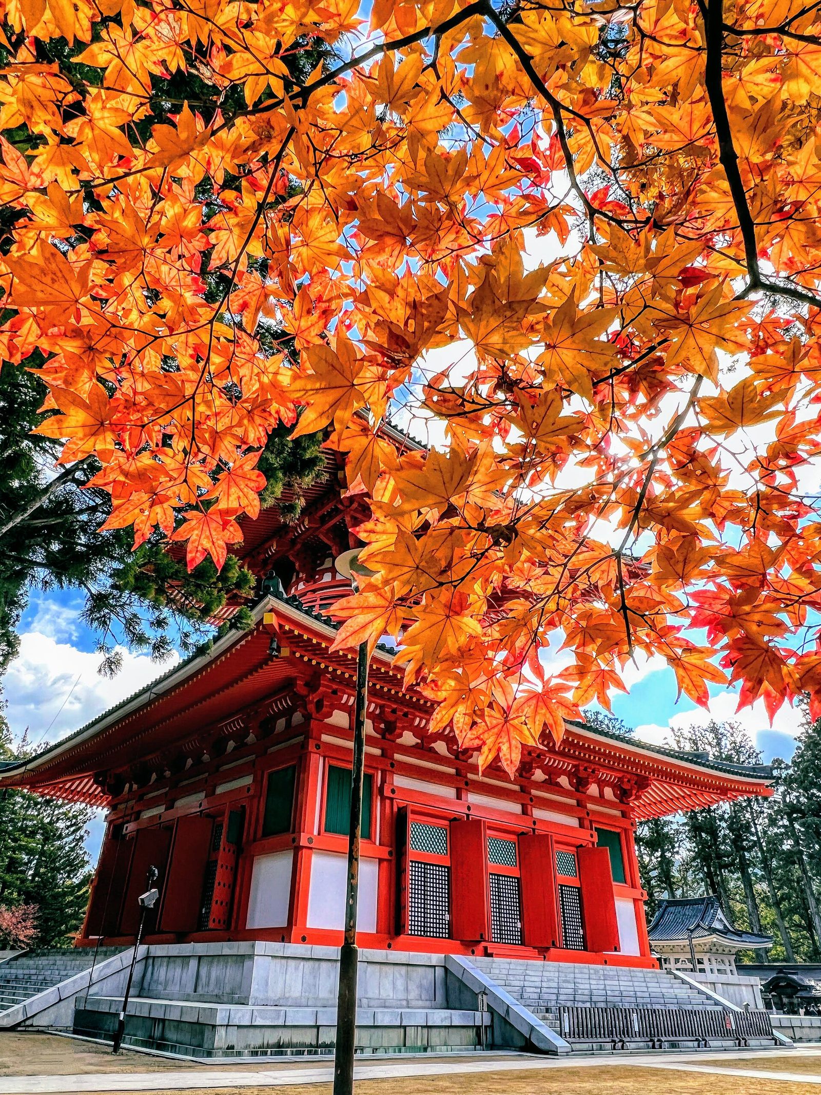初めての高野山観光｜奥之院・金剛峯寺・壇上伽藍を効率よく回る1日ルート(拝観料・山内バス運賃つき)