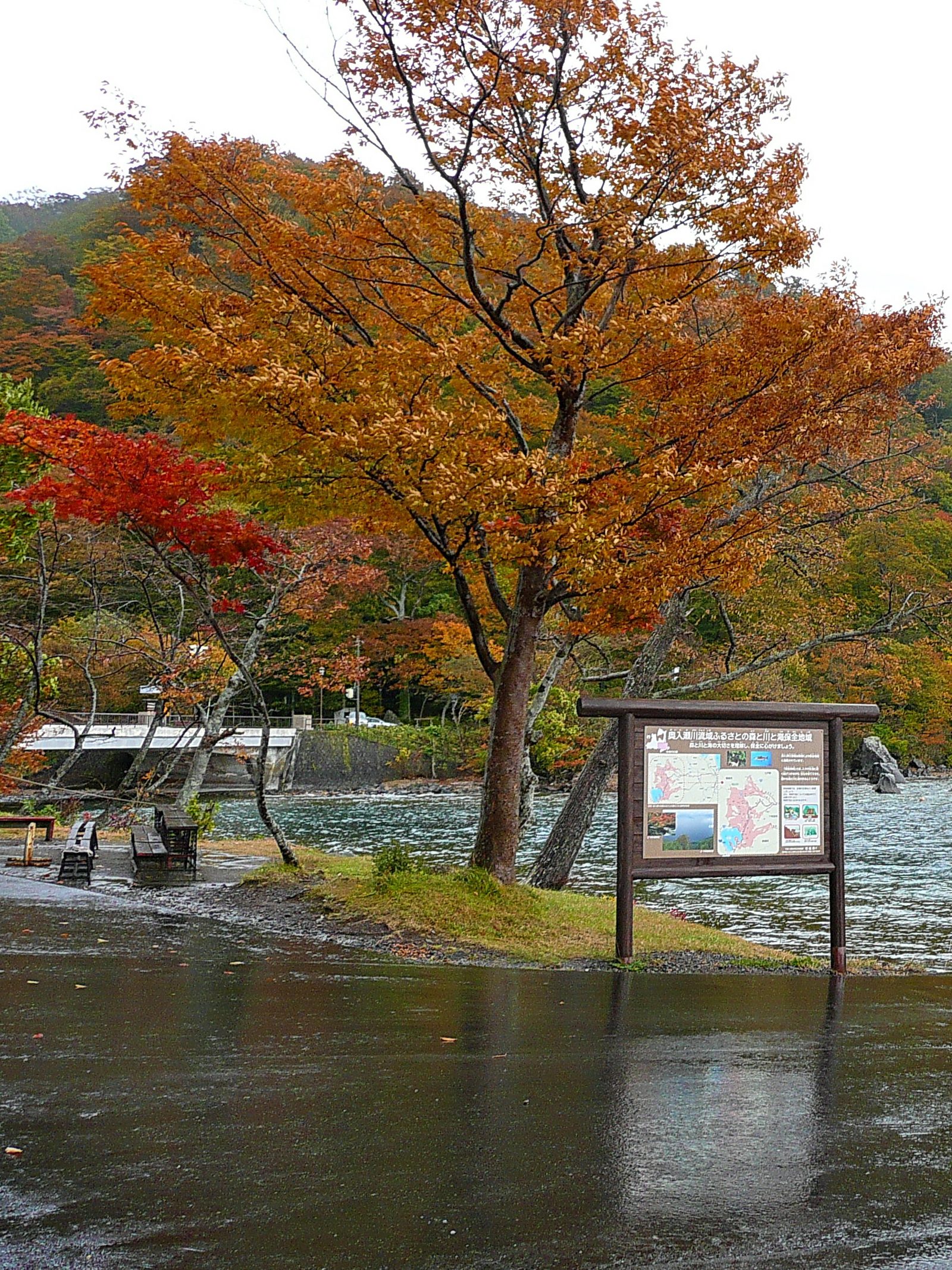 紅葉に彩られた奥入瀬川流域の渓流沿い