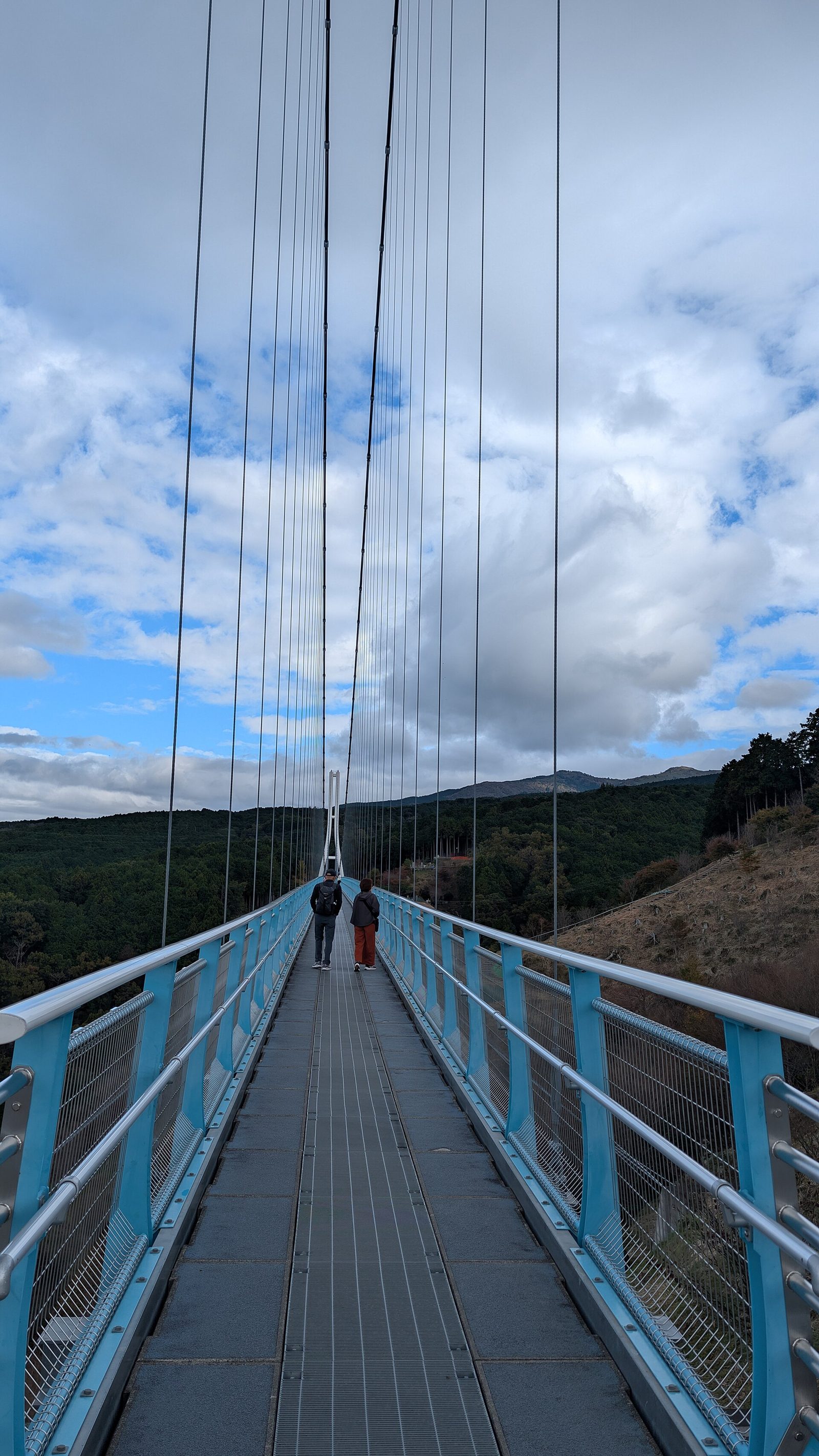 三島スカイウォークの吊橋