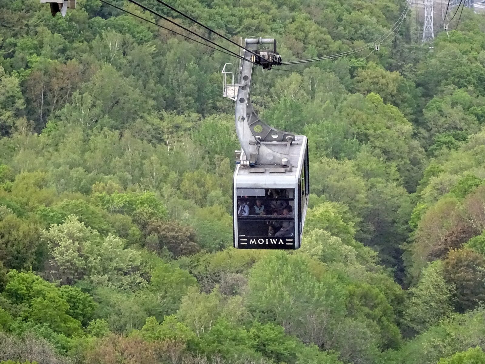 藻岩山ロープウェイのゴンドラと新緑の山肌