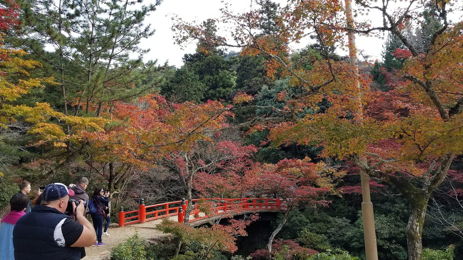 紅葉谷公園のもみじ橋と紅葉