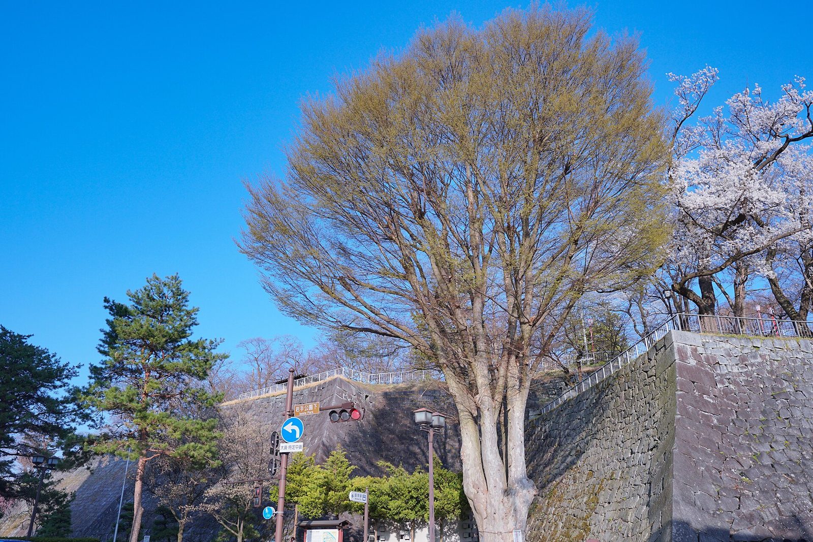 盛岡城跡公園(岩手公園)の石垣
