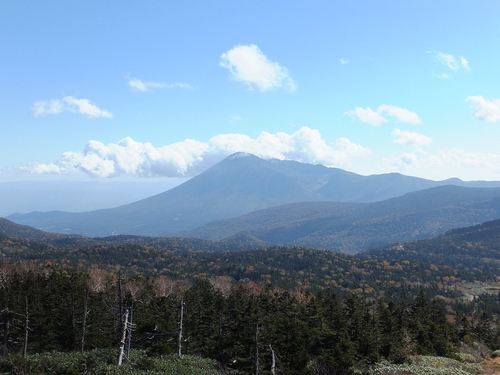 盛岡観光モデルコース【10月・1日】中津川の紅葉とサケ遡上・岩手山の紅葉・費用つき行程表