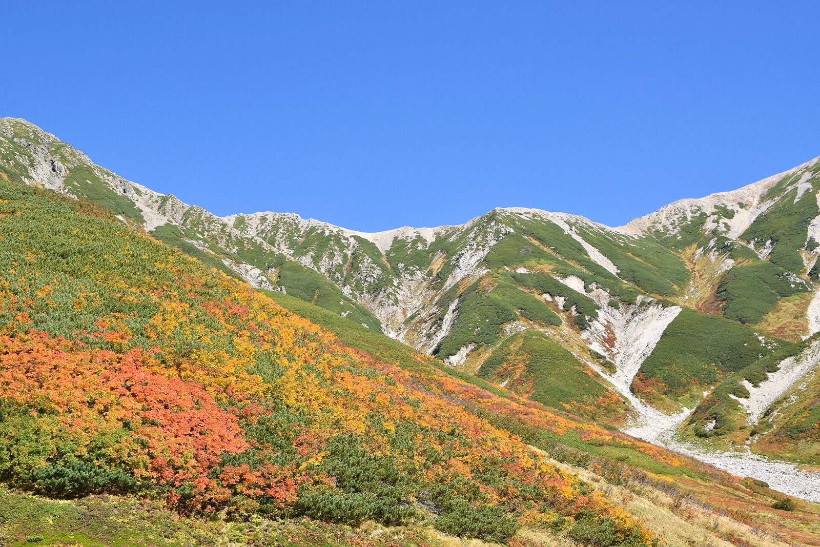 富山観光モデルコース【10月・1日】室堂の紅葉と初雪・弥陀ヶ原10月上旬見頃・費用つき行程表