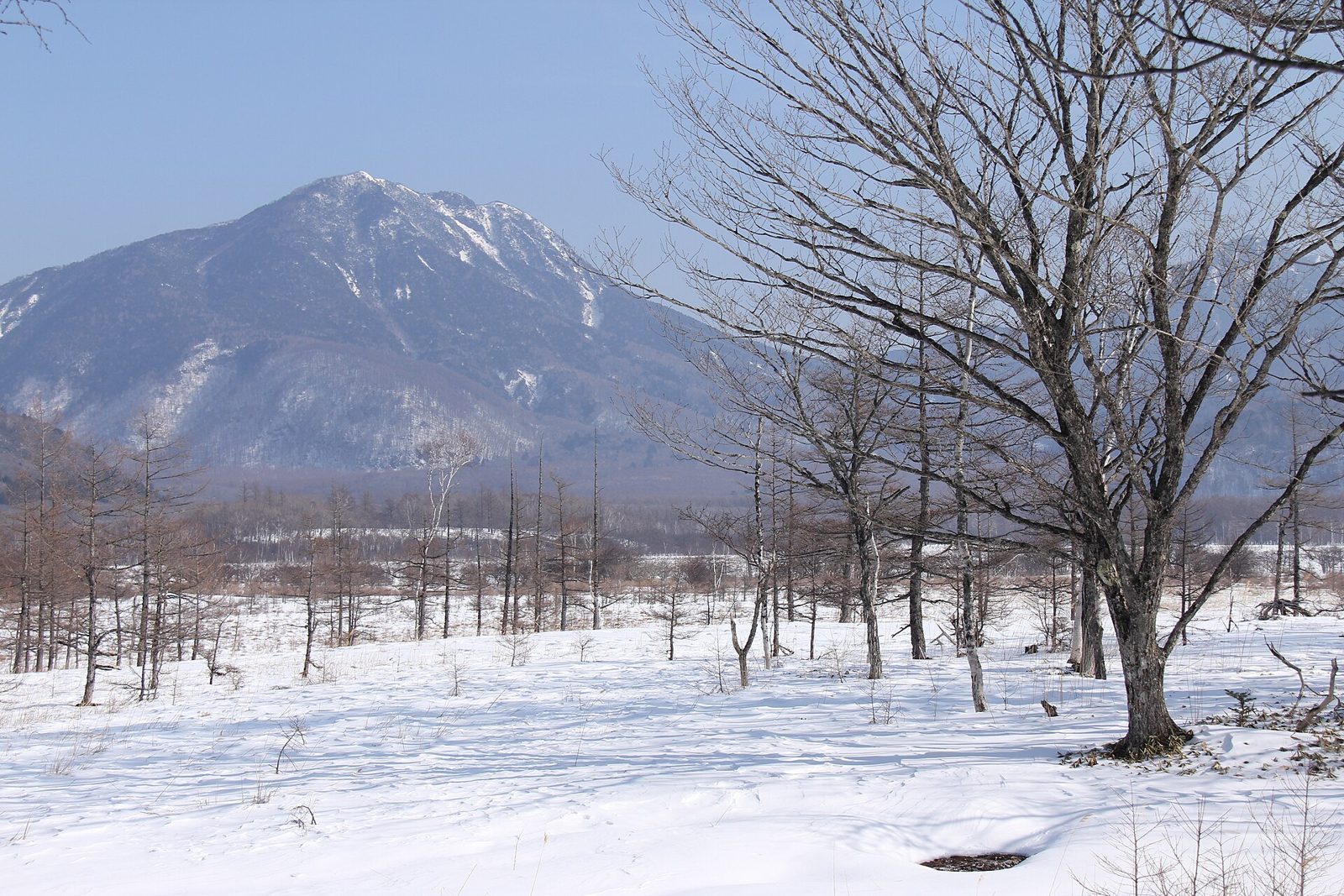 雪に覆われた奥日光・戦場ヶ原と男体山