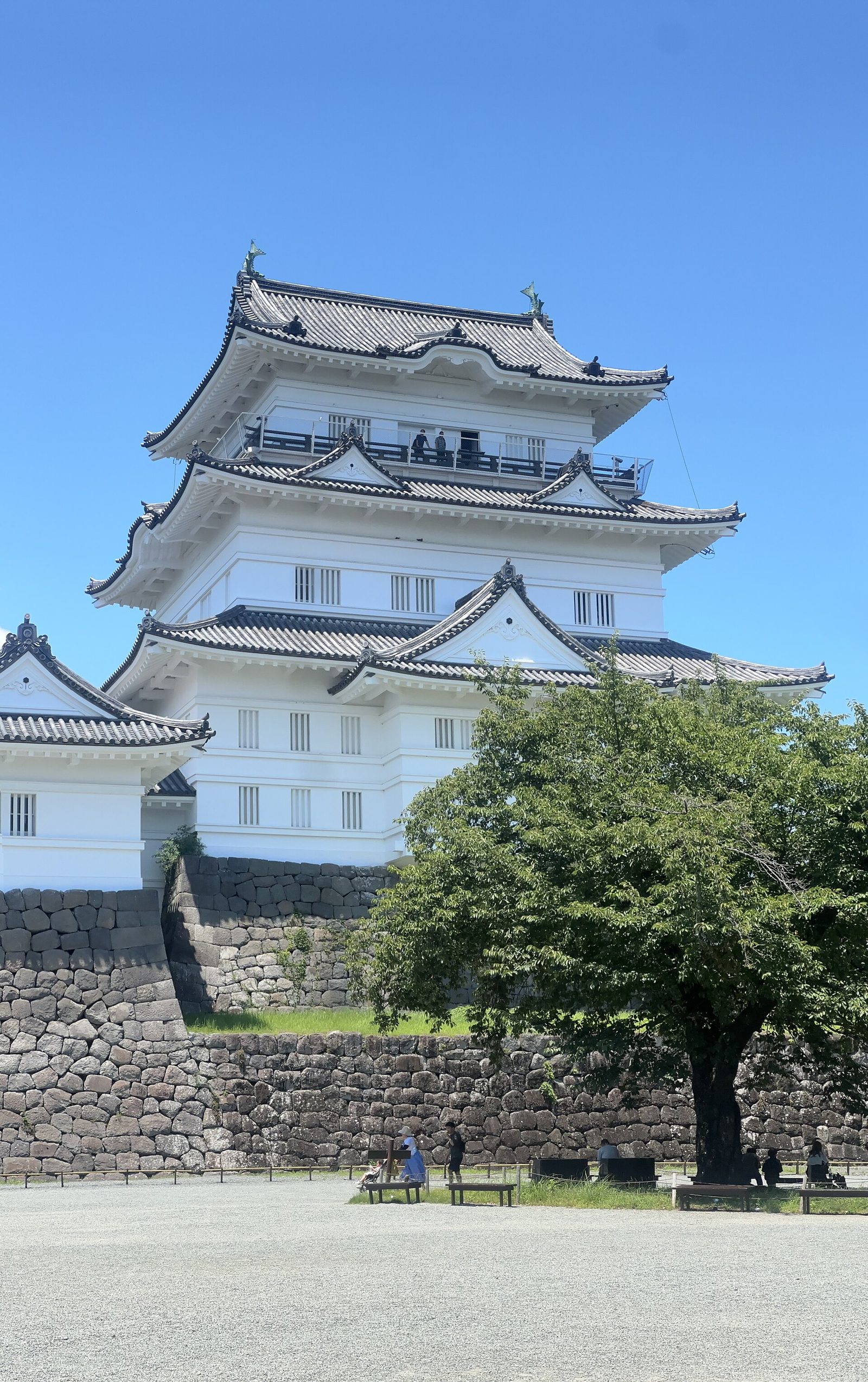 小田原のカップルデート｜江之浦測候所は予約2日前・入館3,300円、ミナカ14階の無料足湯は夜20時まで