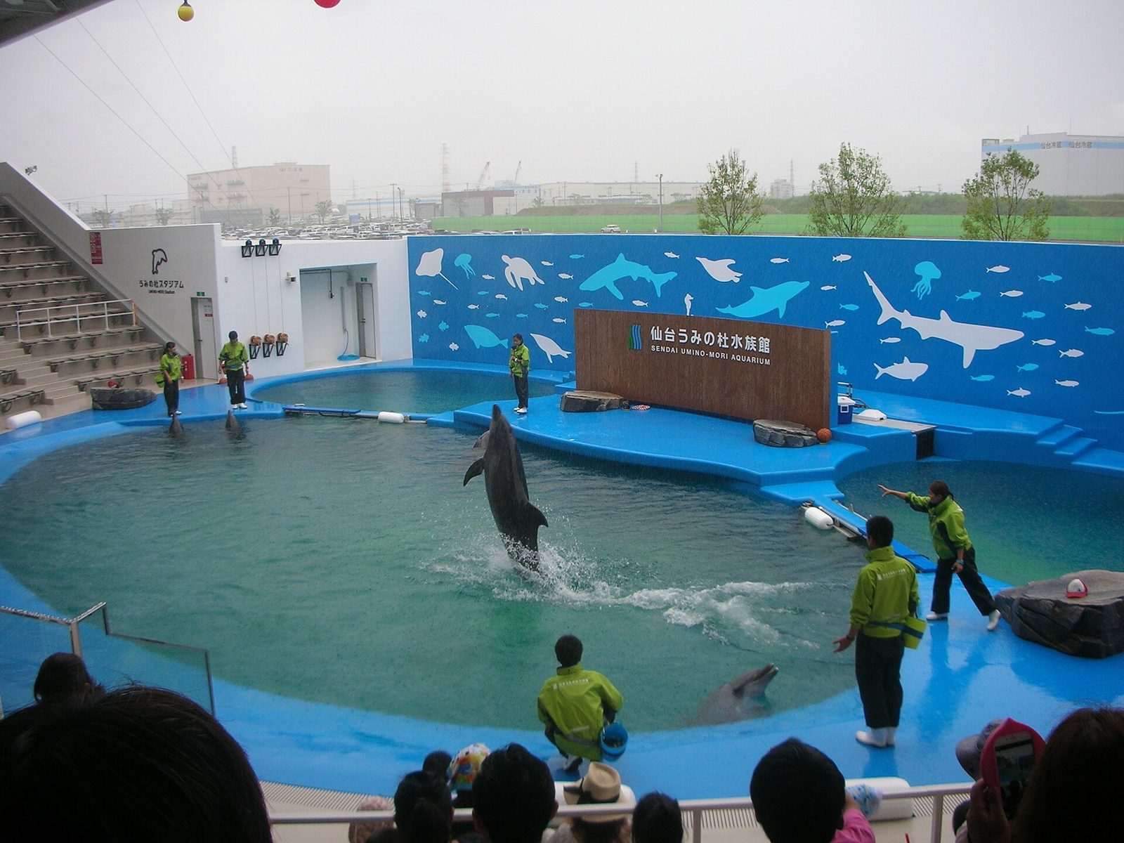 仙台の子連れモデルコース【1日】うみの杜水族館とアンパンマンミュージアムを授乳室・ベビーカー可否つきで