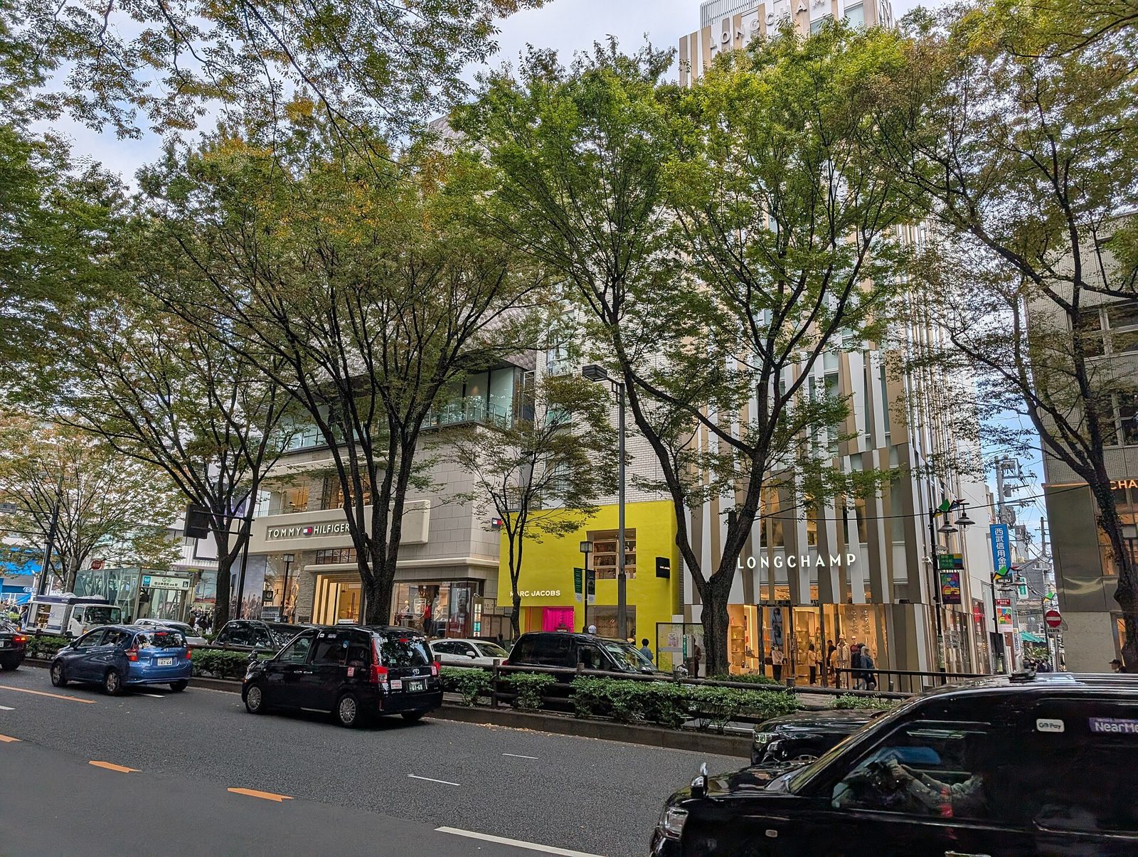 ケヤキ並木が続く表参道の街並み