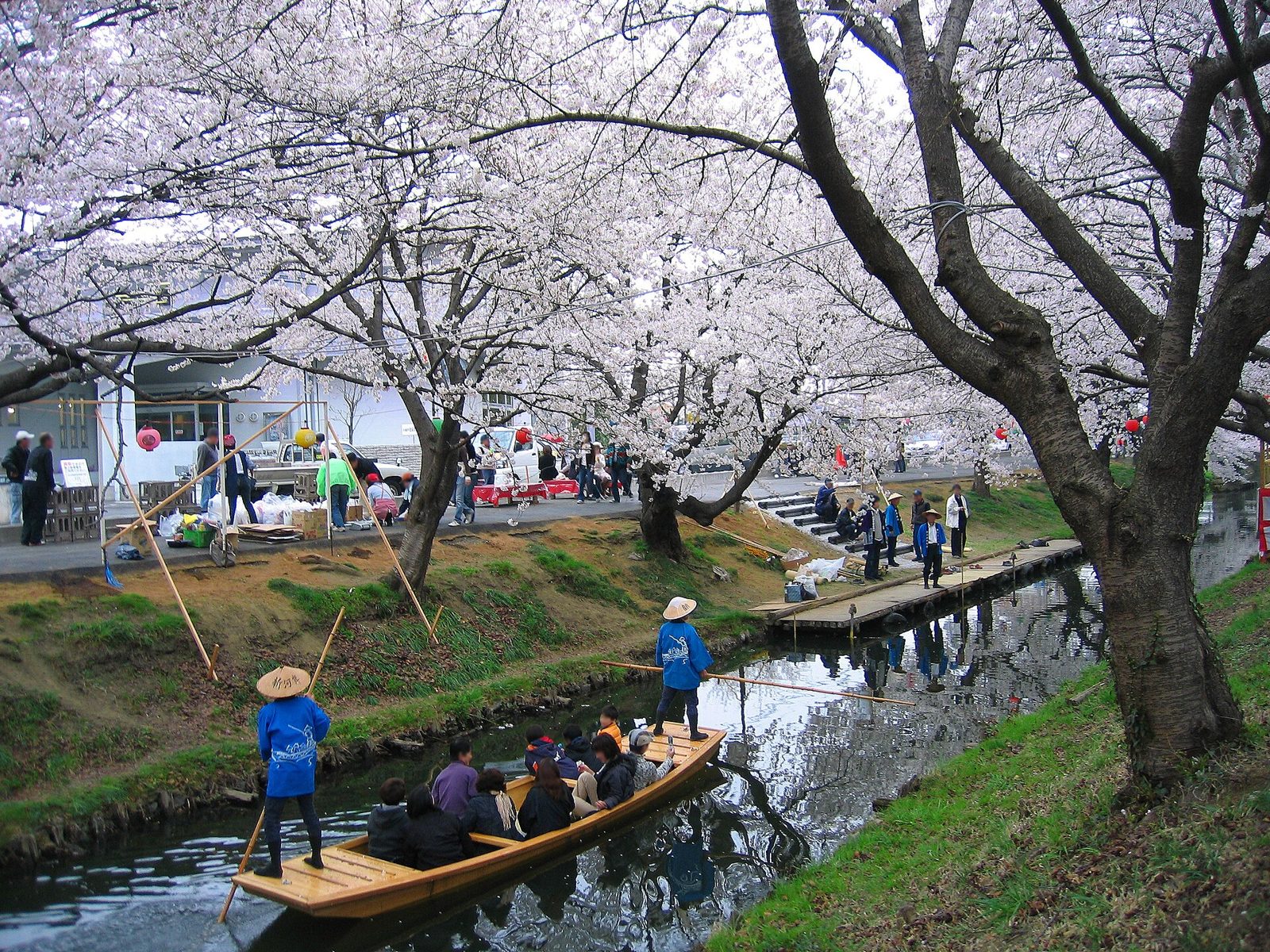川越観光モデルコース【4月・1日】新河岸川の桜と春まつり(3/28〜4/26)・舟遊は3/29まで・費用つき行程表