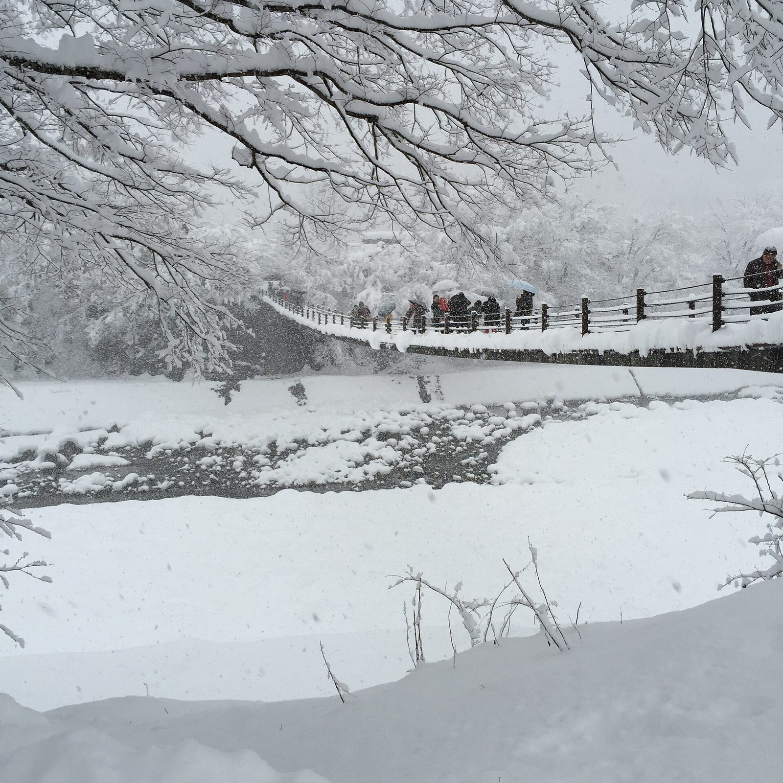 雪が積もった白川郷のであい橋を歩く人たち